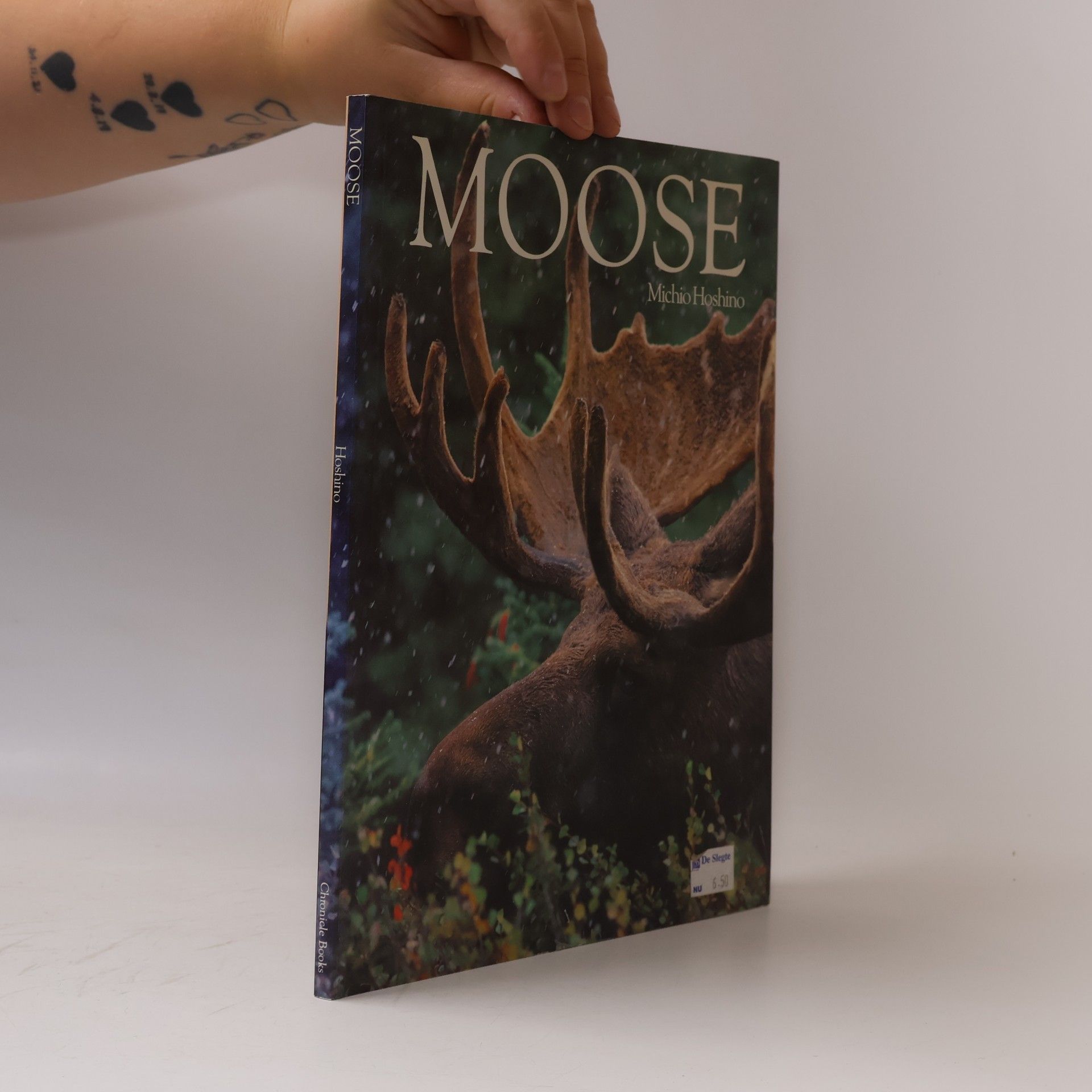 Michio Hoshino Moose