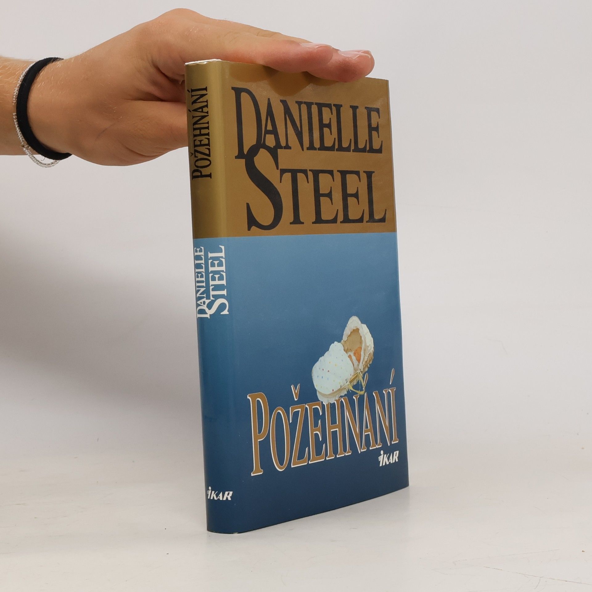 Danielle Steel Požehnání