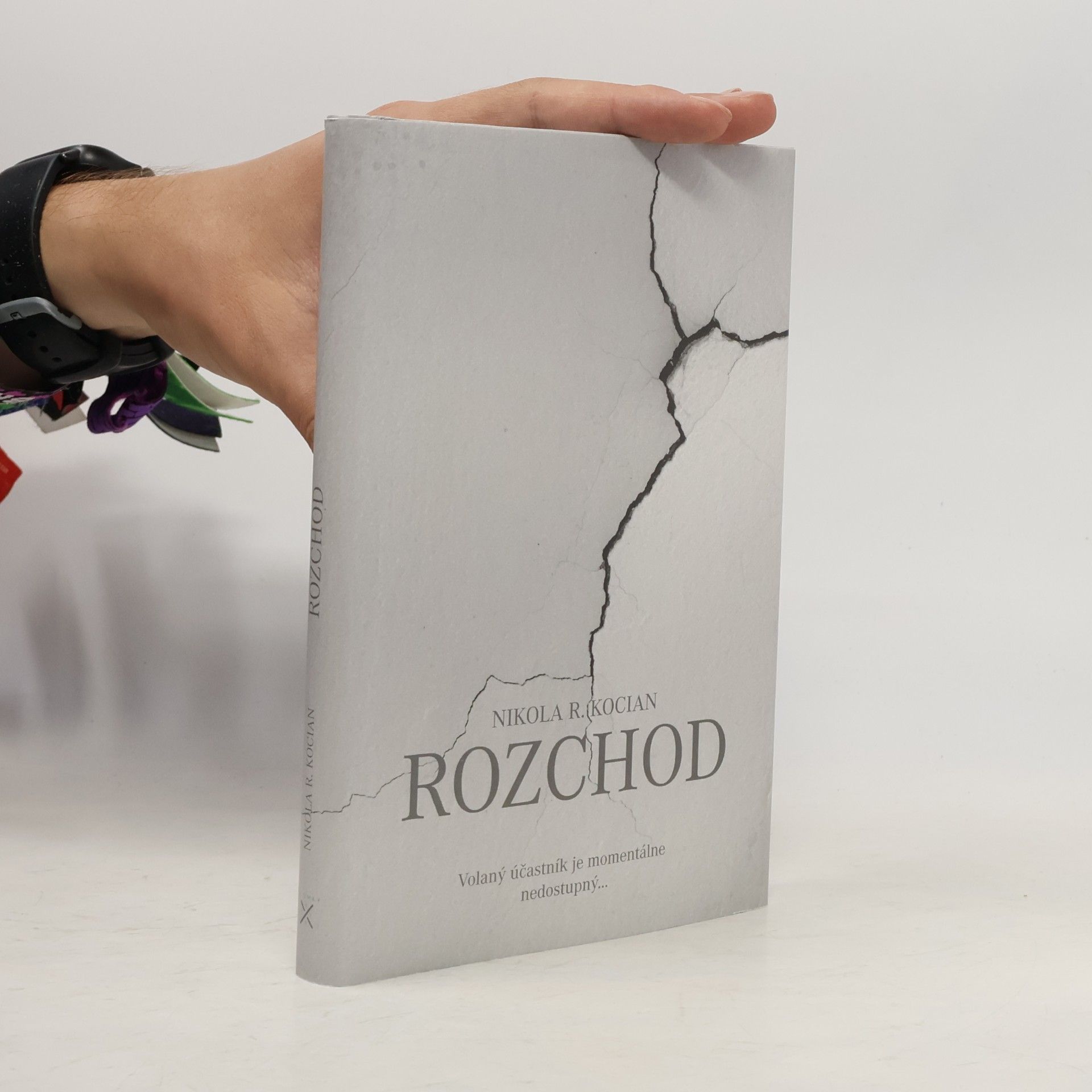 Nikola R. Kocian Rozchod