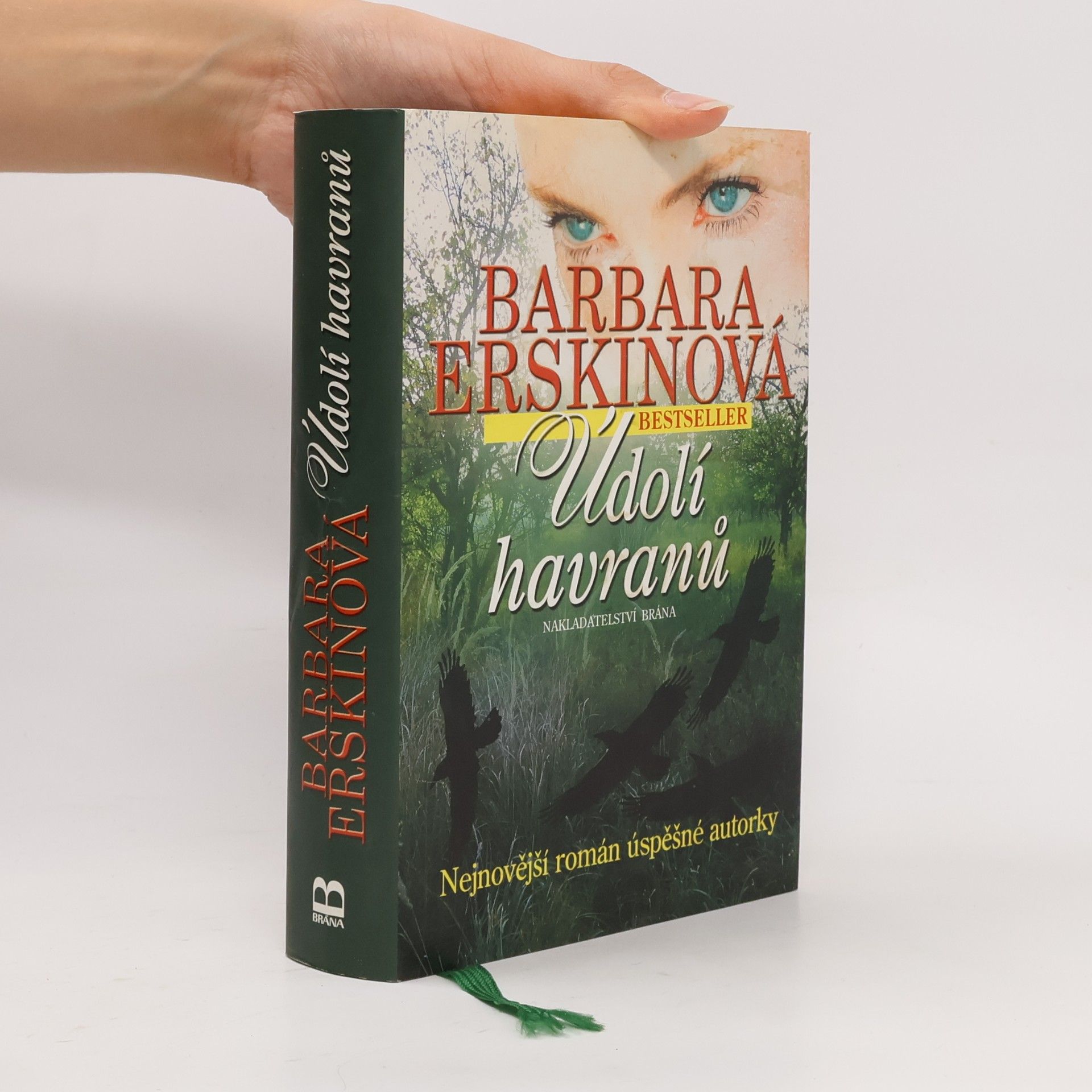 Barbara Erskine Údolí havranů
