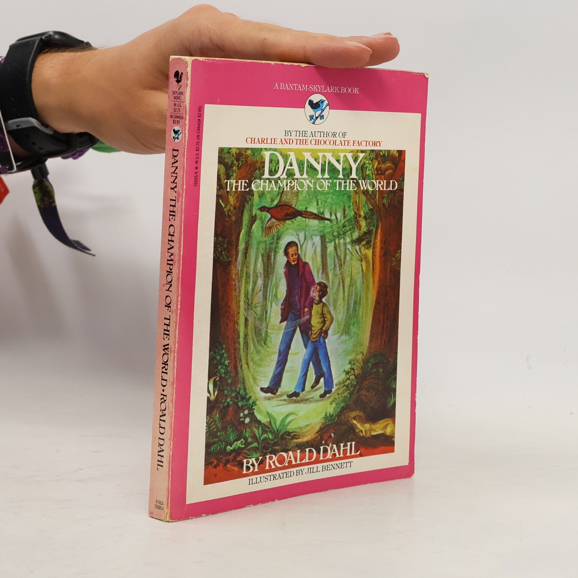 Jill Bennett Skylark Novel: Danny