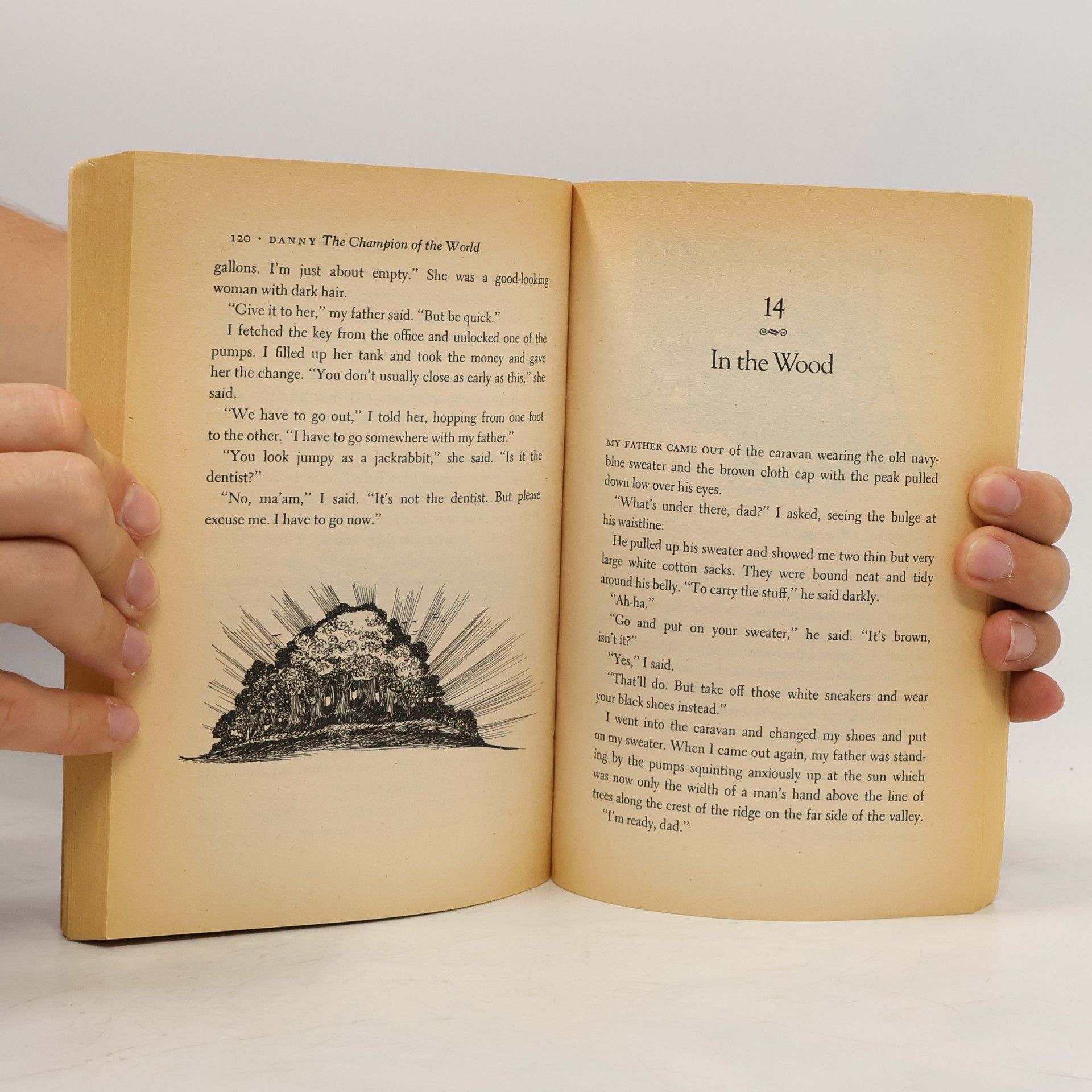 Roald Dahl Skylark Novel: Danny