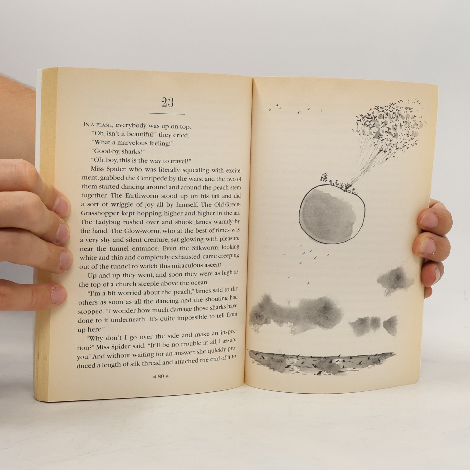 Roald Dahl James and the Giant Peach