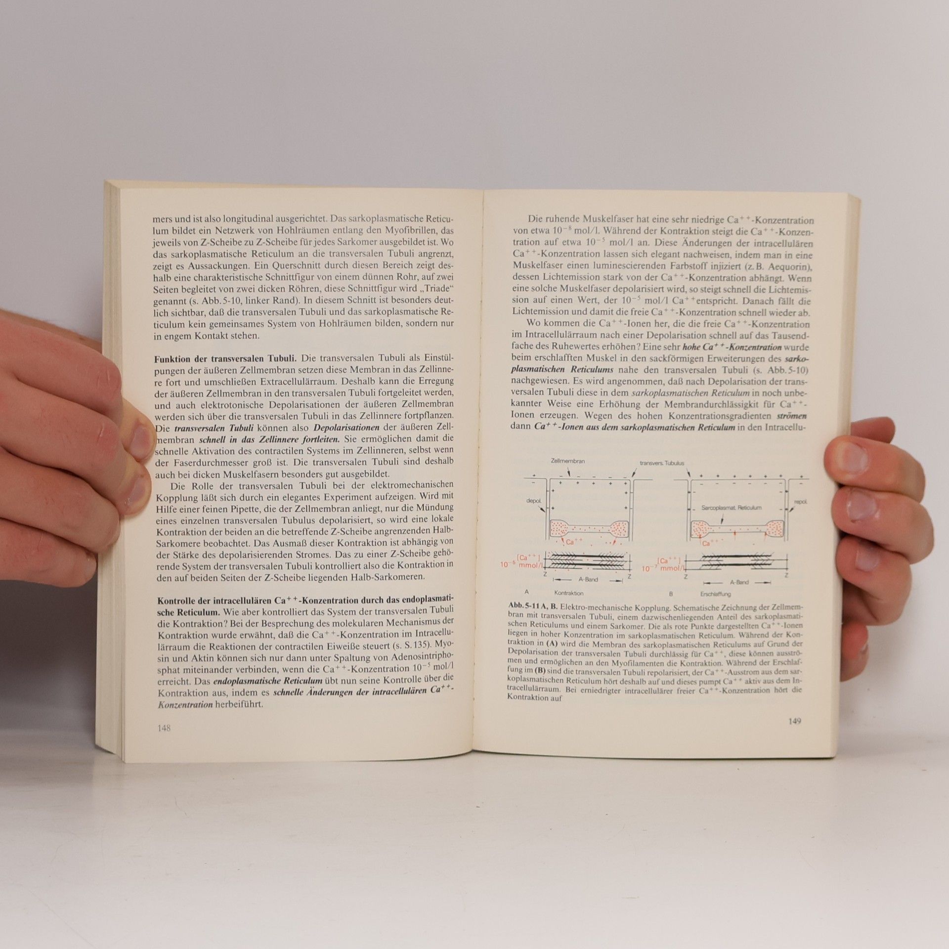 Josef Dudel Heidelberger Taschenbuch Basistext Medizin Psychologie: Grundriß der Neurophysiologie