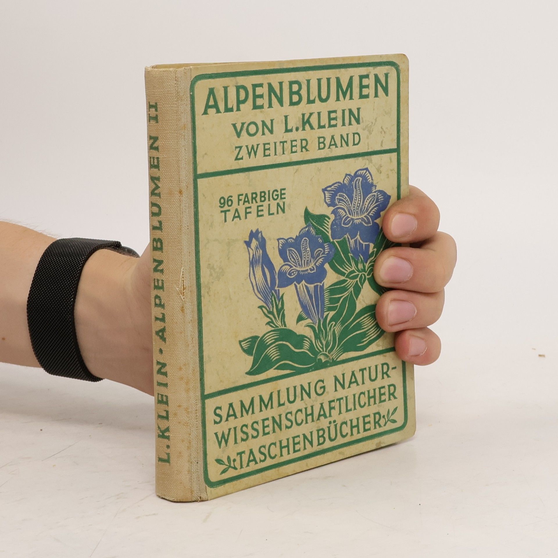 Ludwig Klein Alpenblumen. Zweiter Band