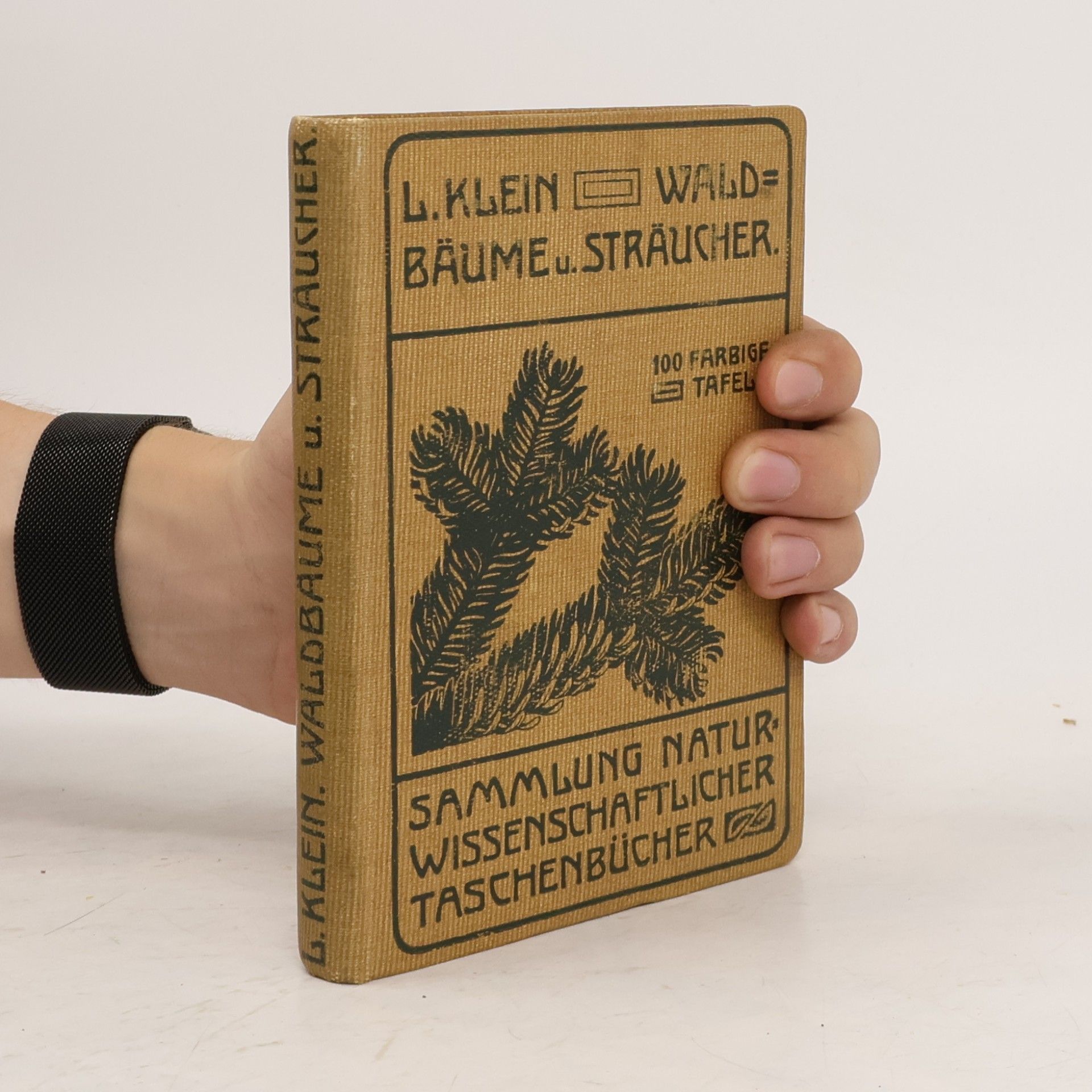 L. Klein Unsere Waldbäume, Sträucher und Zwergholzgewächse