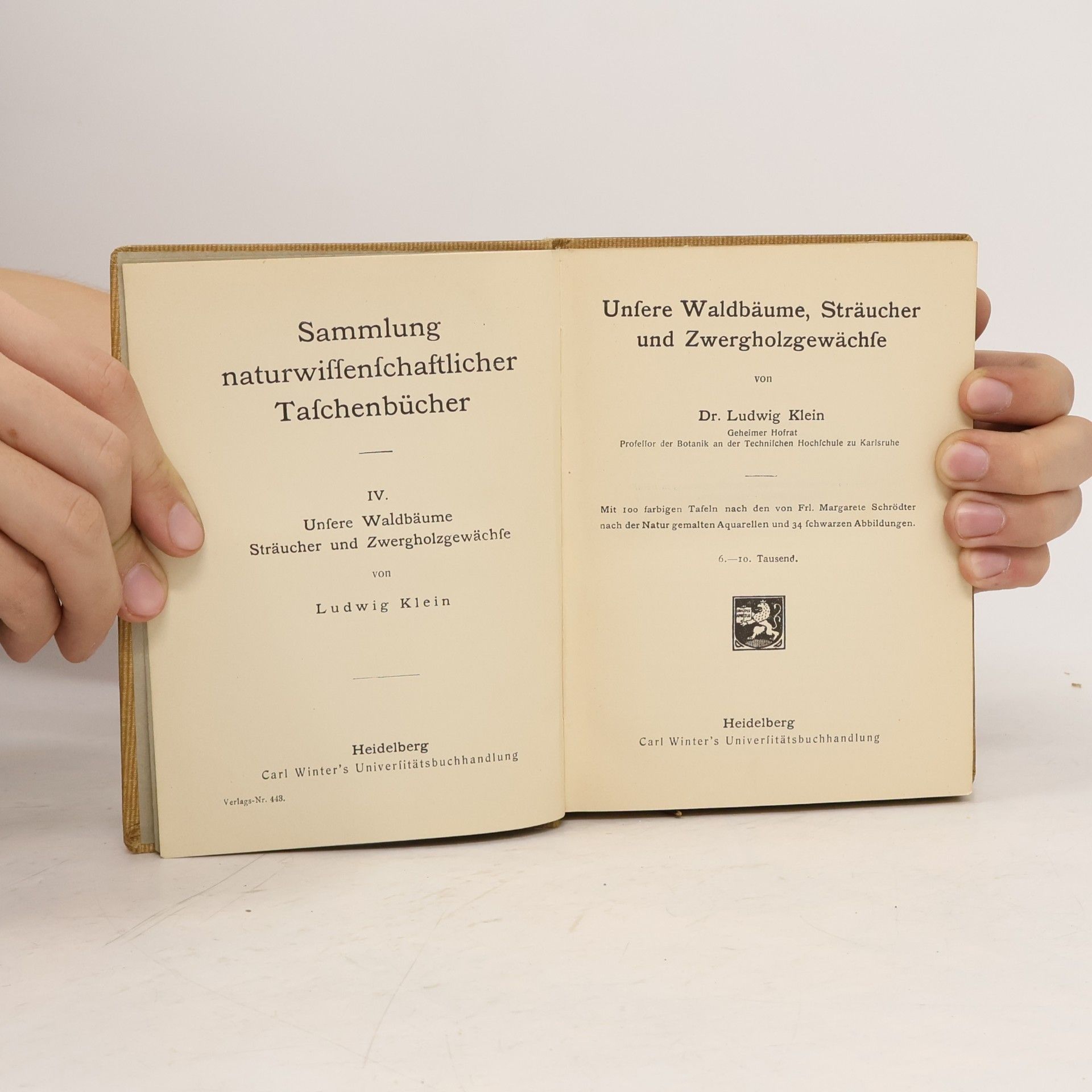 L. Klein Unsere Waldbäume, Sträucher und Zwergholzgewächse