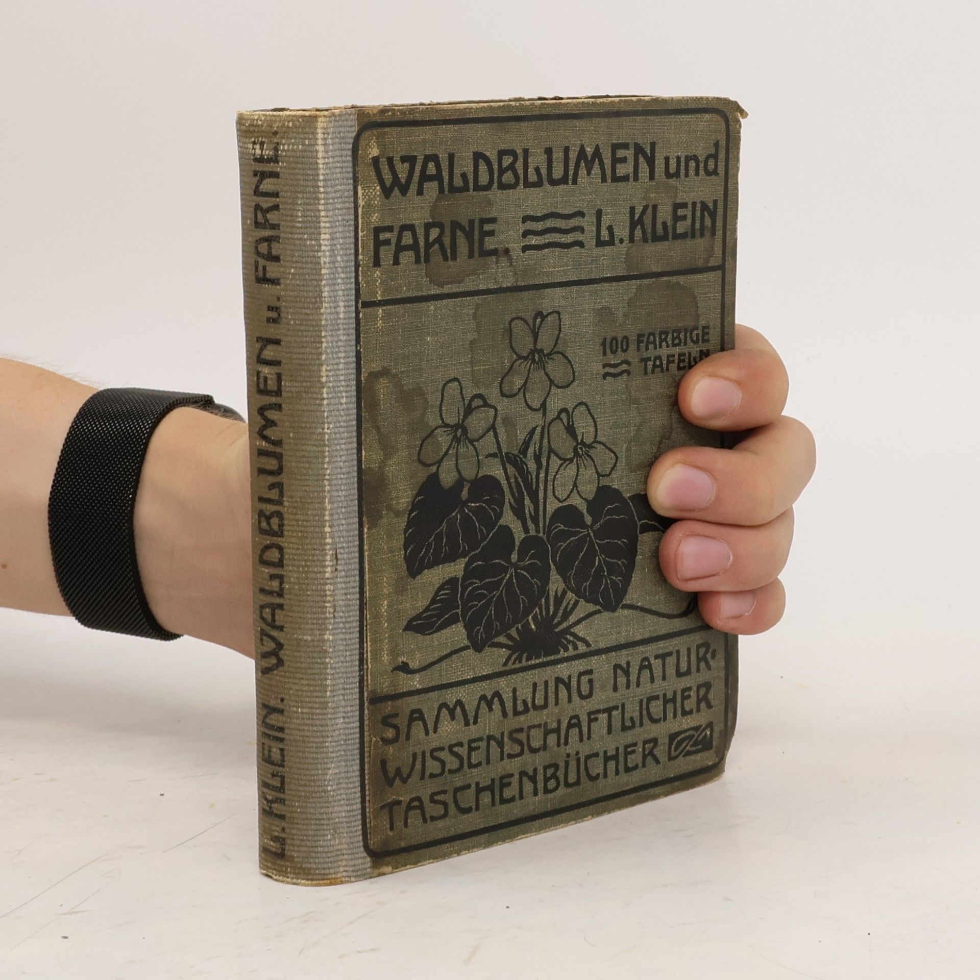 Unfere Waldblumen und Farnewächte