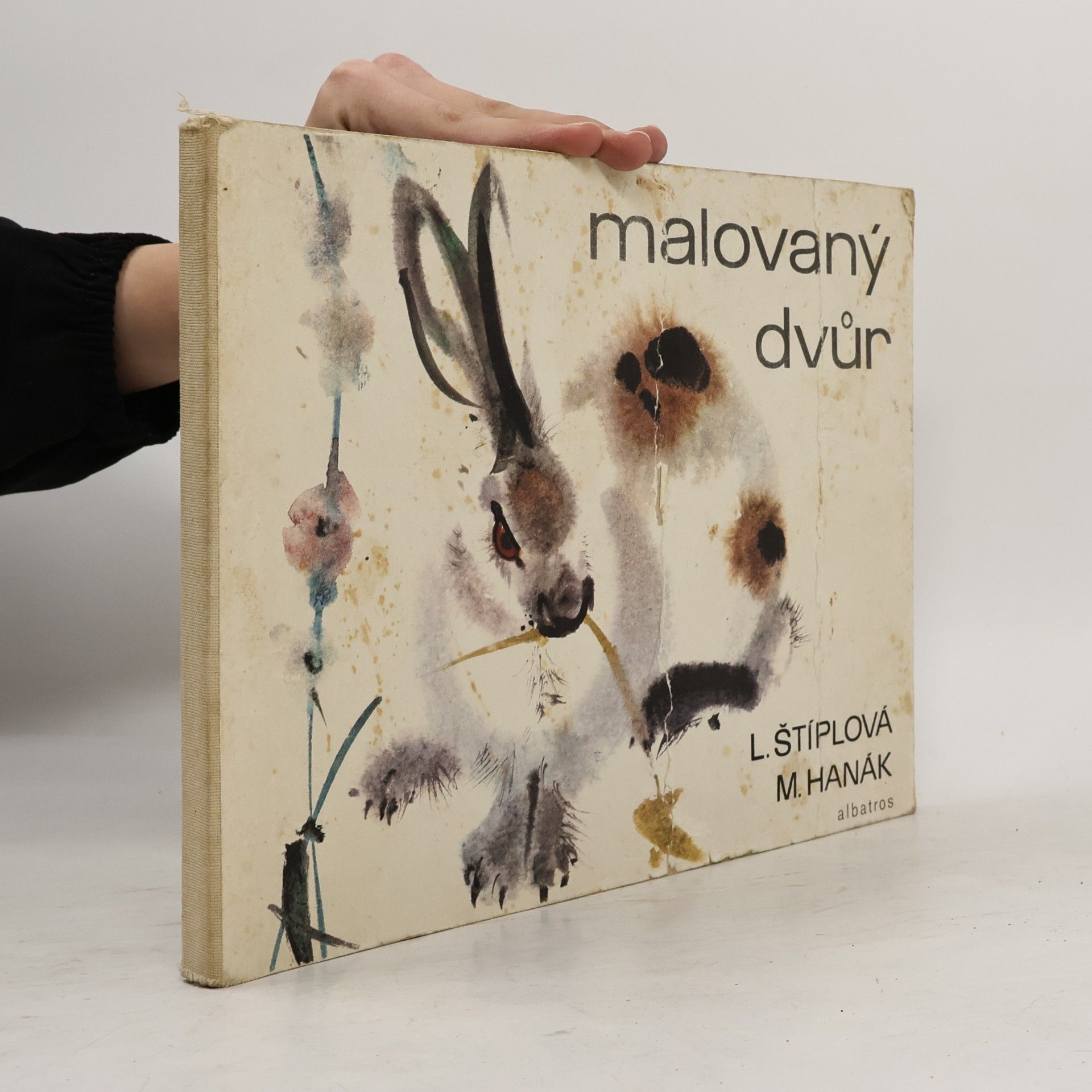 Ljuba Štíplová Malovaný dvůr