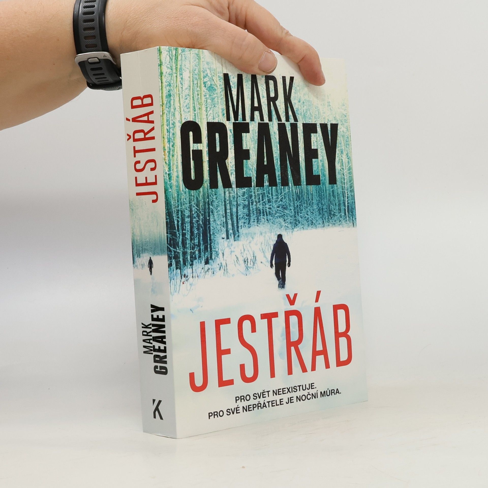 Mark Greaney Jestřáb