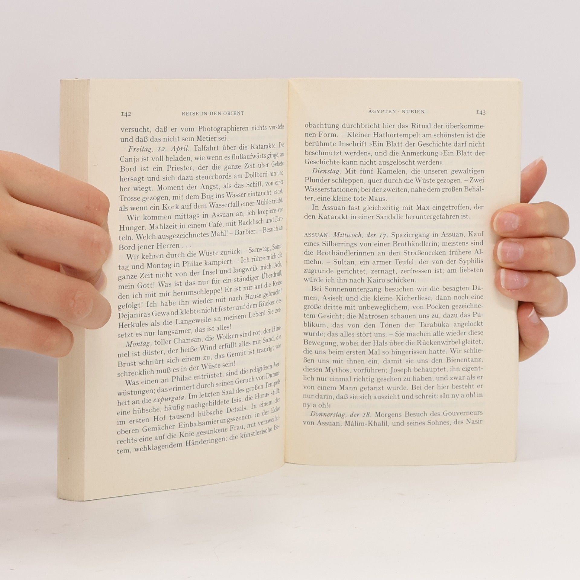 Gustave Flaubert Reise in den Orient