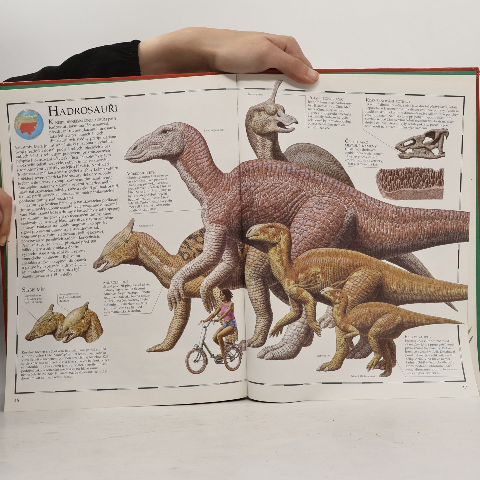 William Lindsay Obrazový atlas dinosaurů