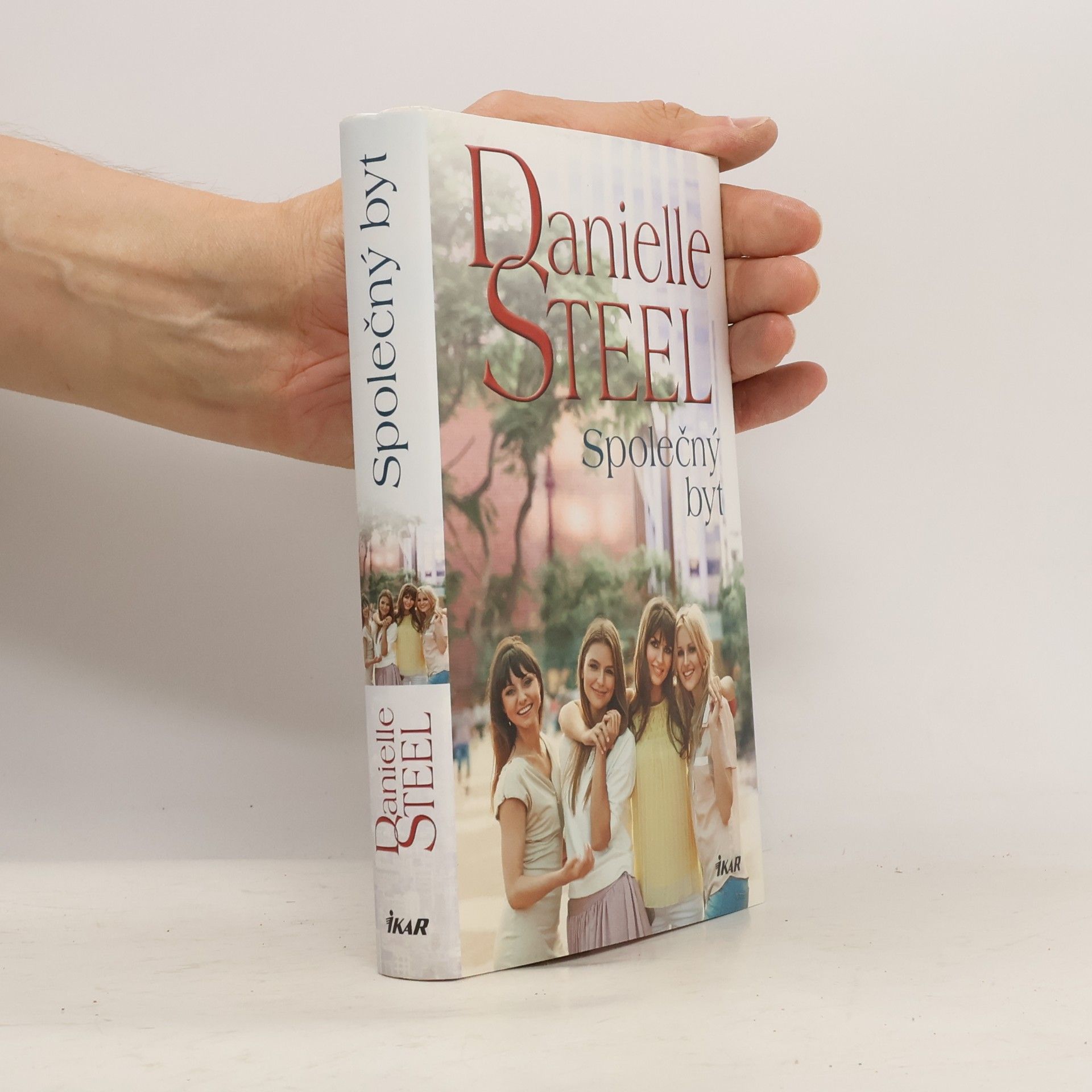 Danielle Steel Společný byt