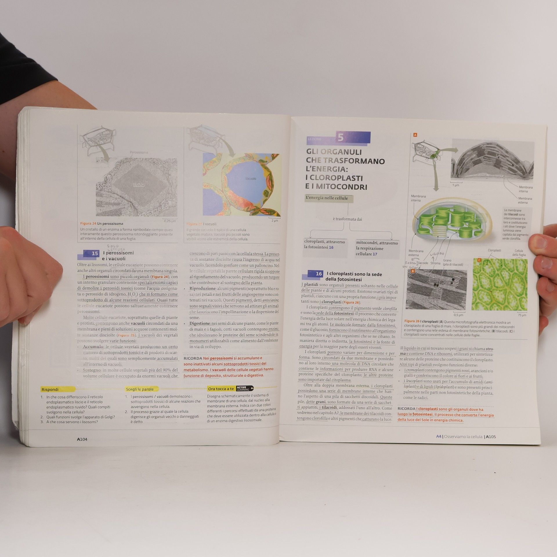 David E. Sadava La nuova biologia.blu PLUS