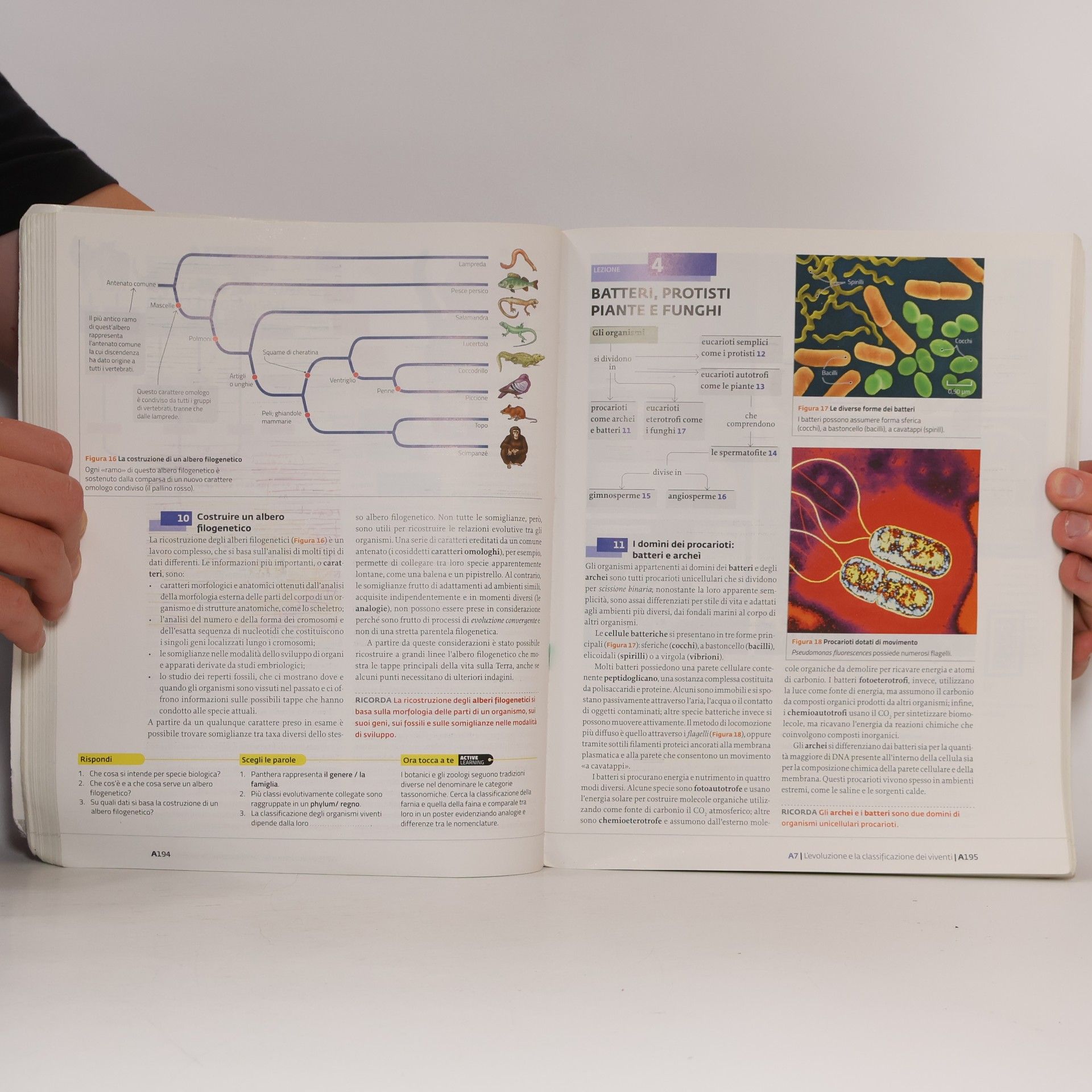 David E. Sadava La nuova biologia.blu PLUS