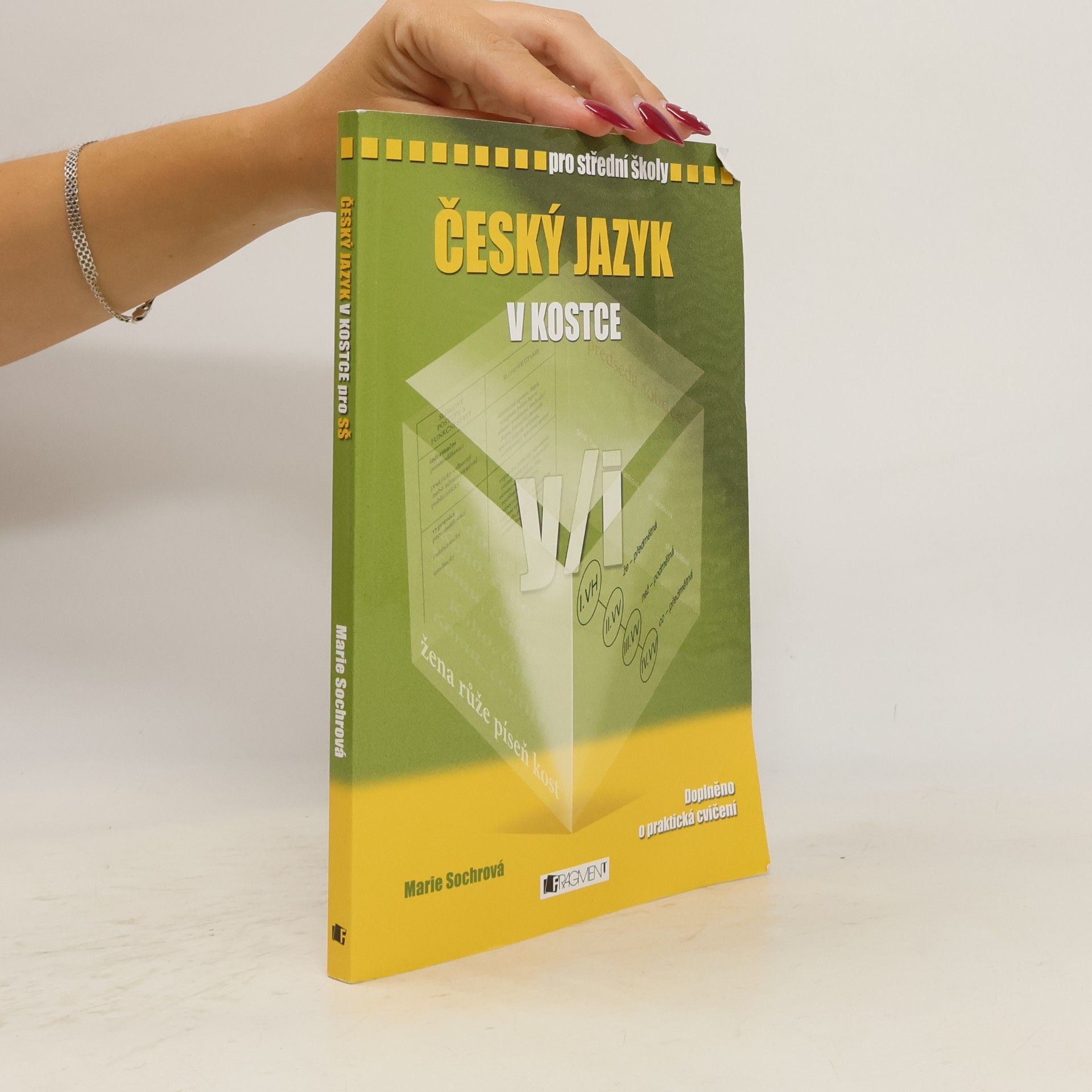 Marie Sochrová Český jazyk v kostce : pro střední školy
