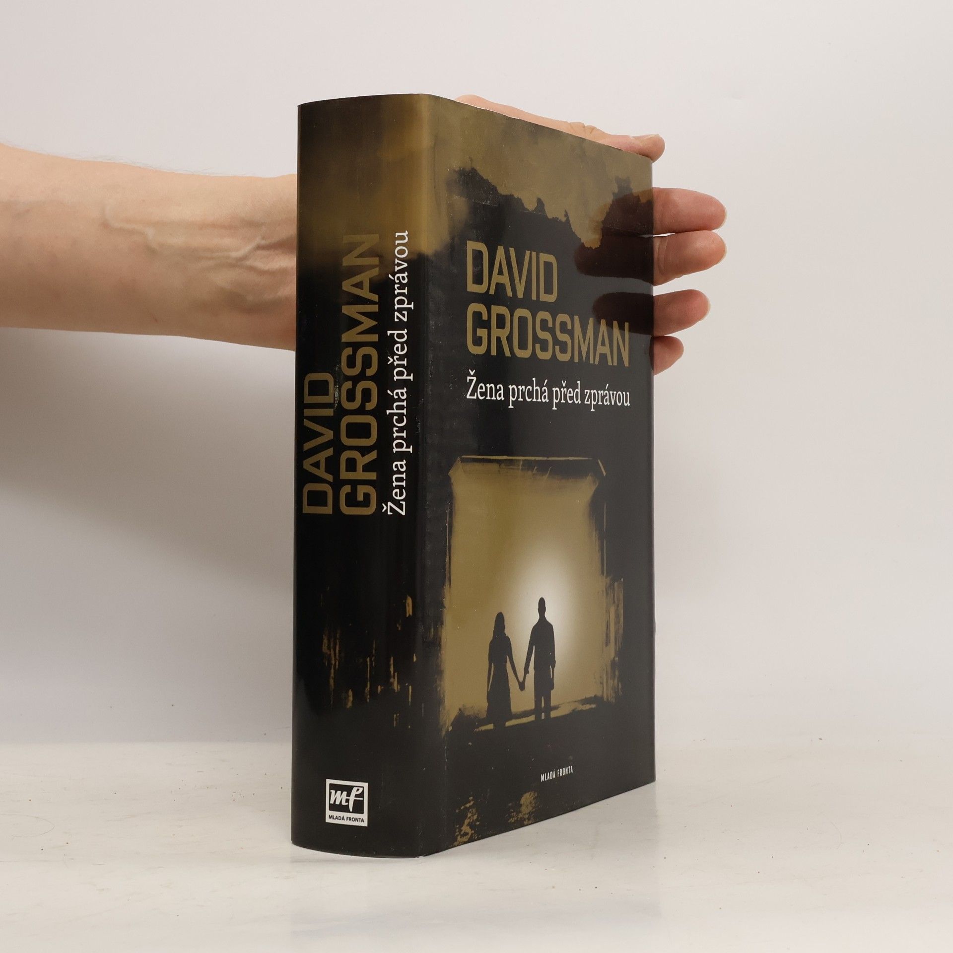 David Grossman Žena prchá před zprávou