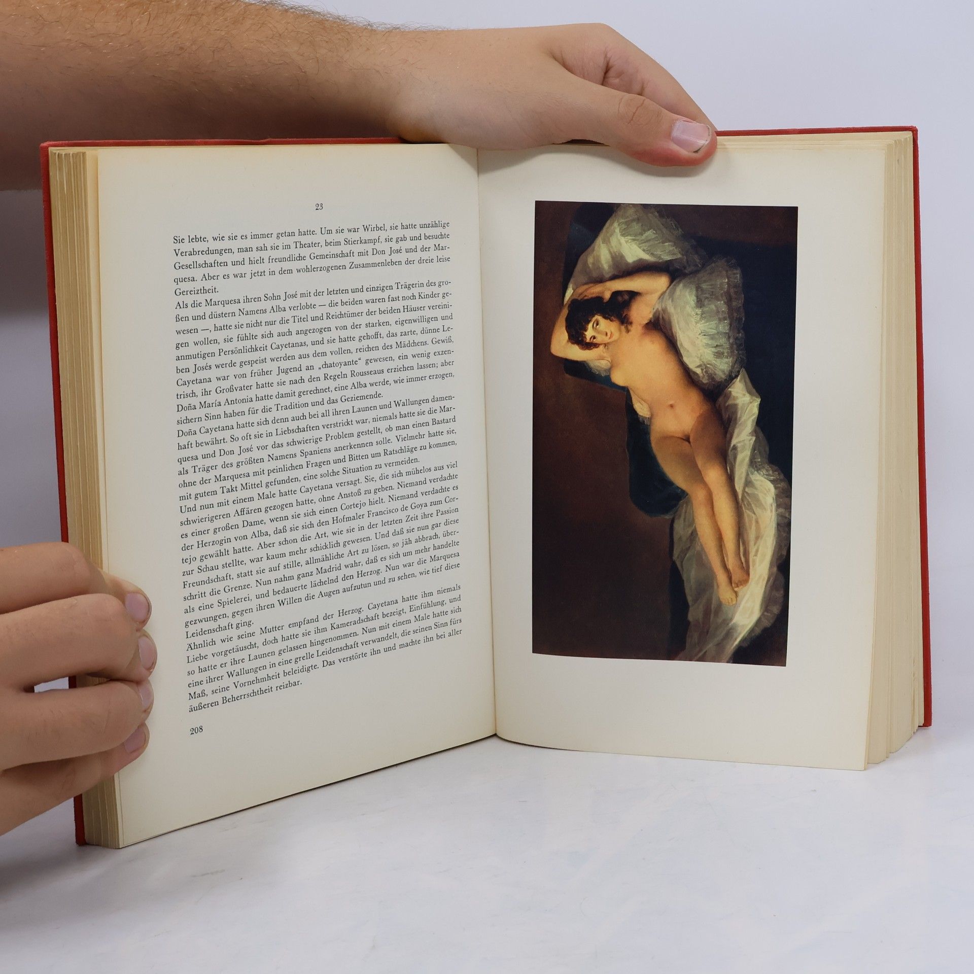 Various authors Goya