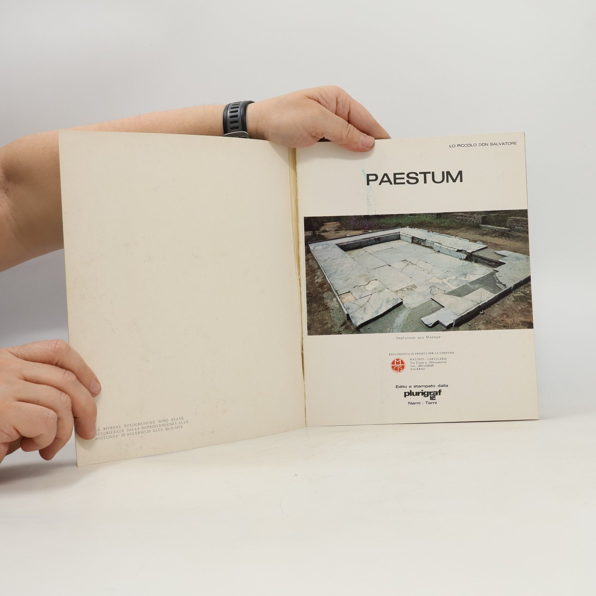 Autorenkollektiv Paestum