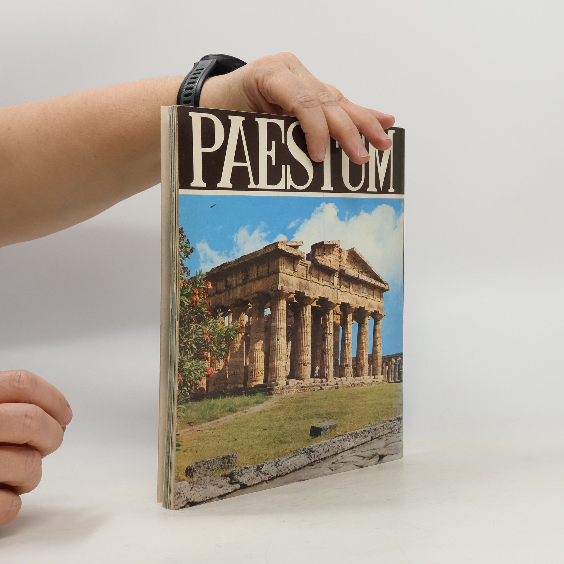 Autorenkollektiv Paestum
