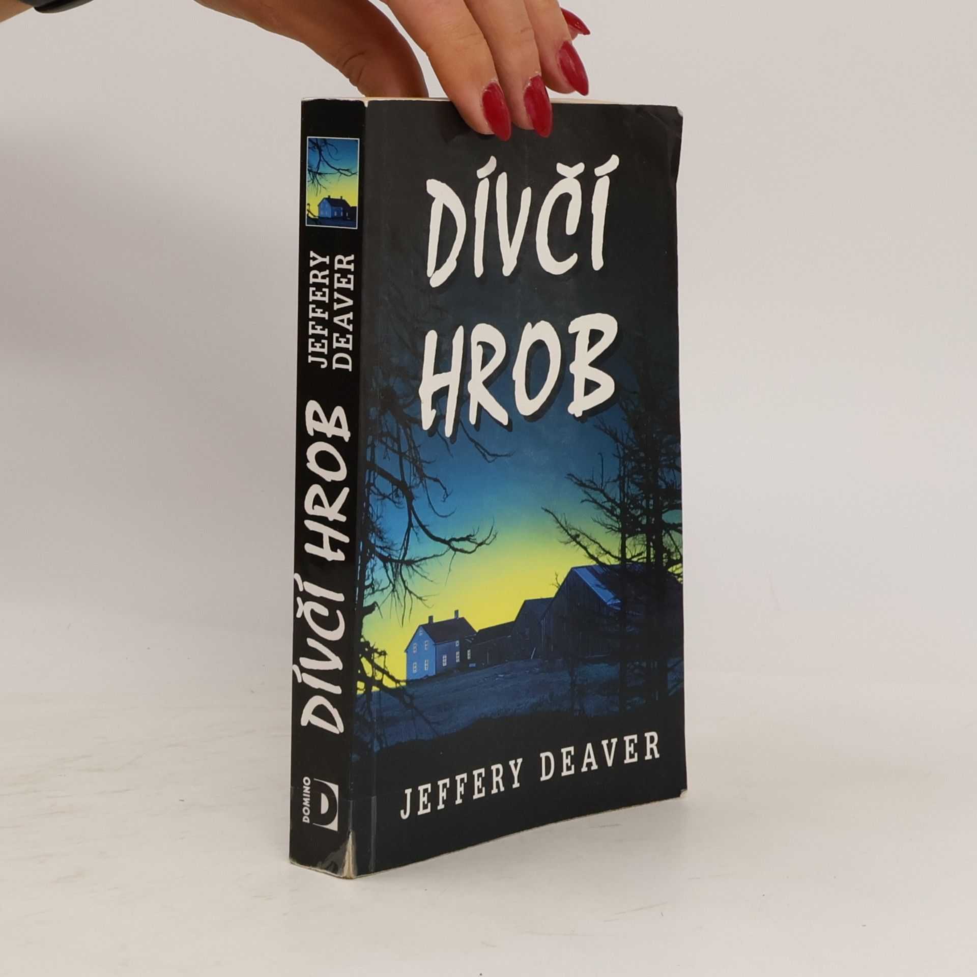 Jeffery Deaver Dívčí hrob