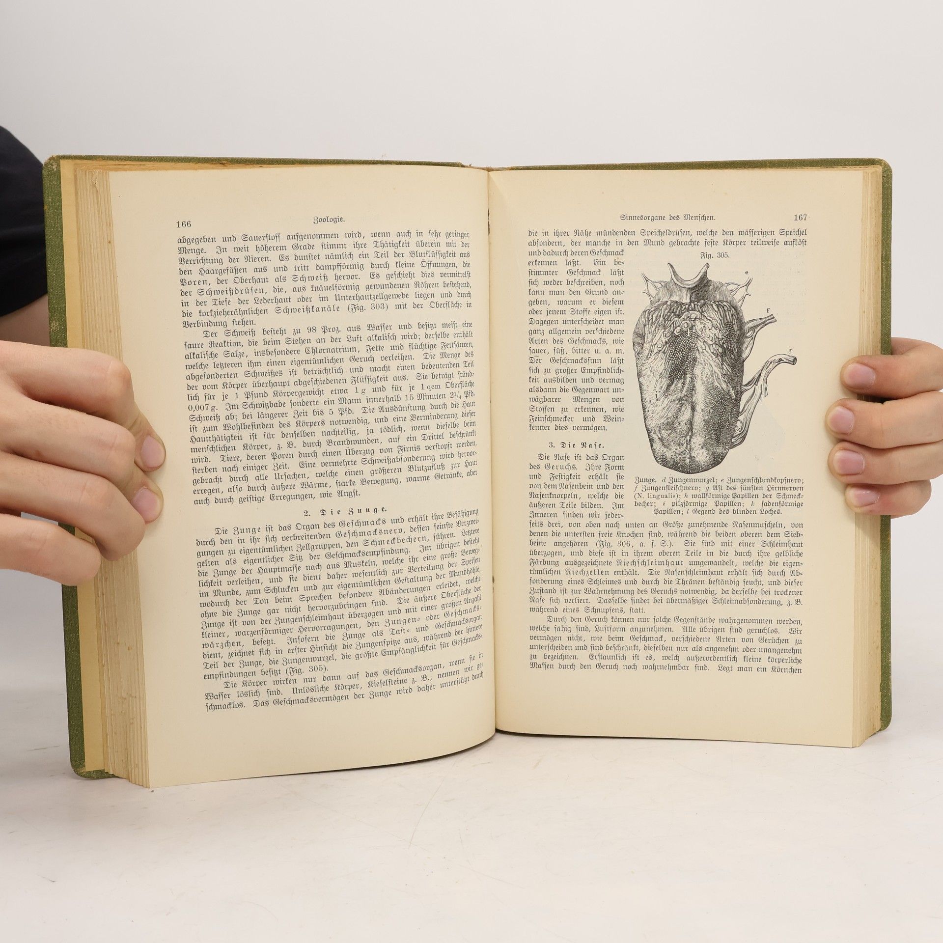 kolektiv Das Buch der Natur