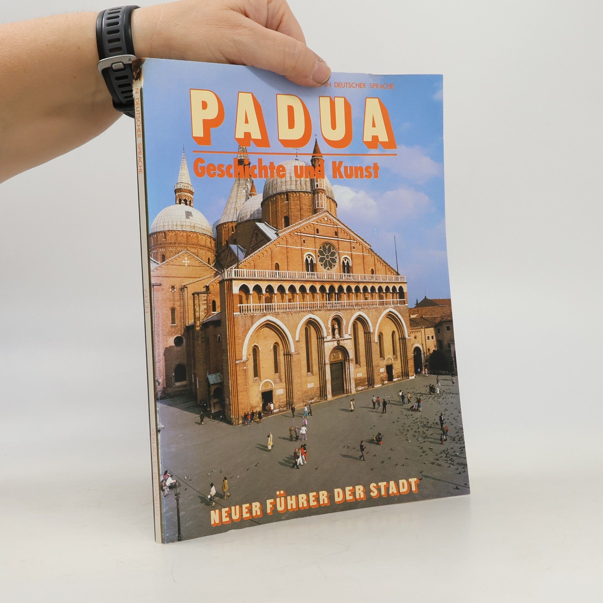 Autorenkollektiv Padua. Geschichte und Kunst