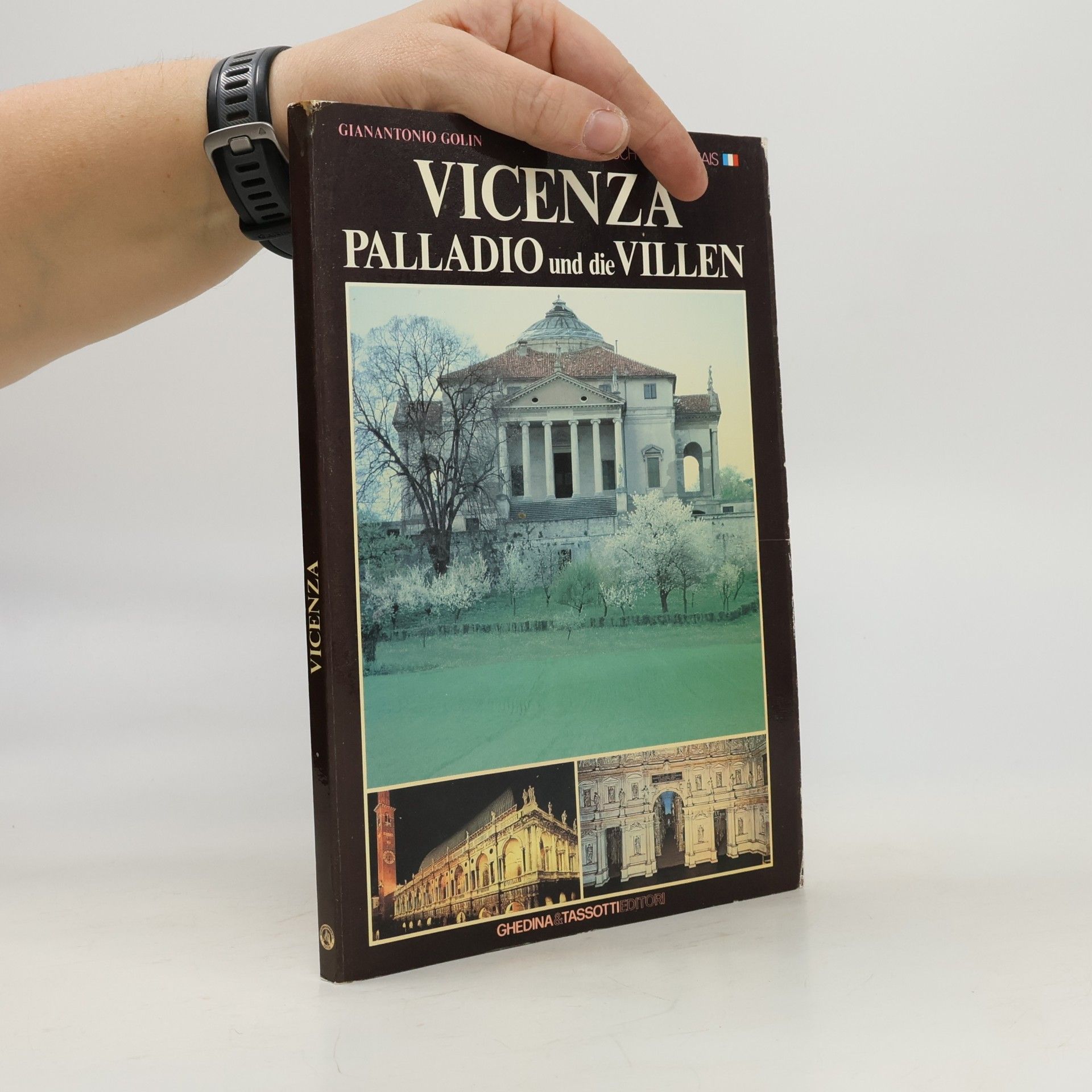 Gianantonio Golin Vicenza : Palladio und die Villen = Vicence : Palladio et les villas