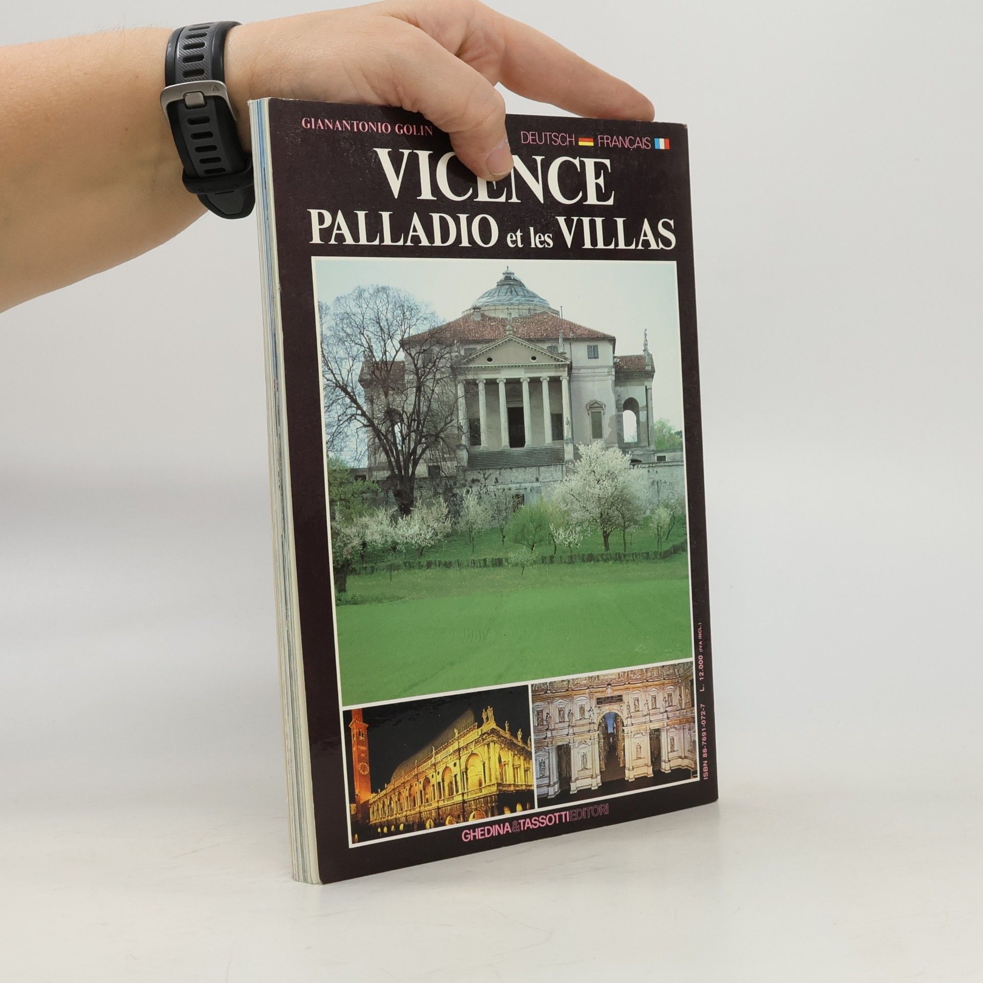 Gianantonio Golin Vicenza : Palladio und die Villen = Vicence : Palladio et les villas