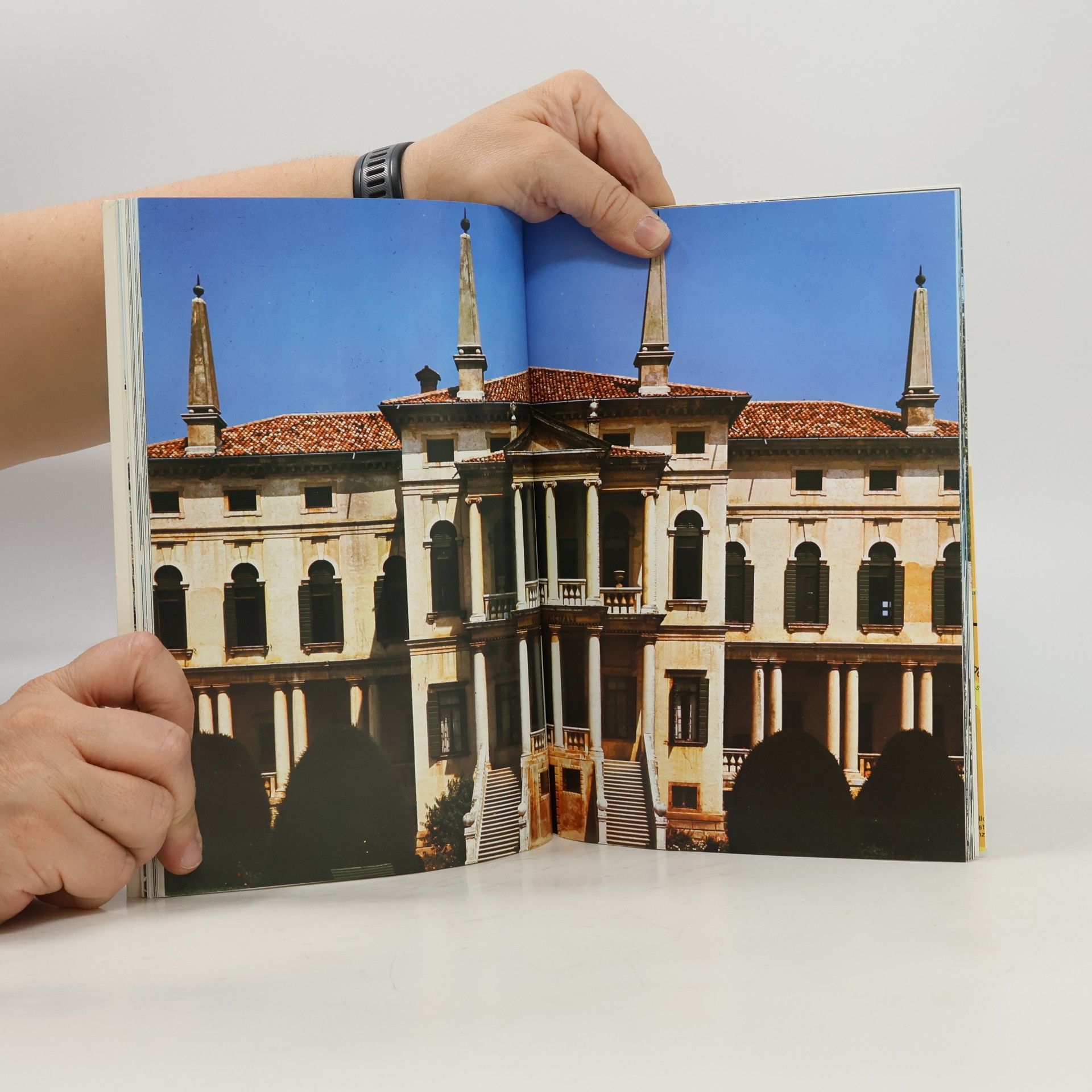 Gianantonio Golin Vicenza : Palladio und die Villen = Vicence : Palladio et les villas
