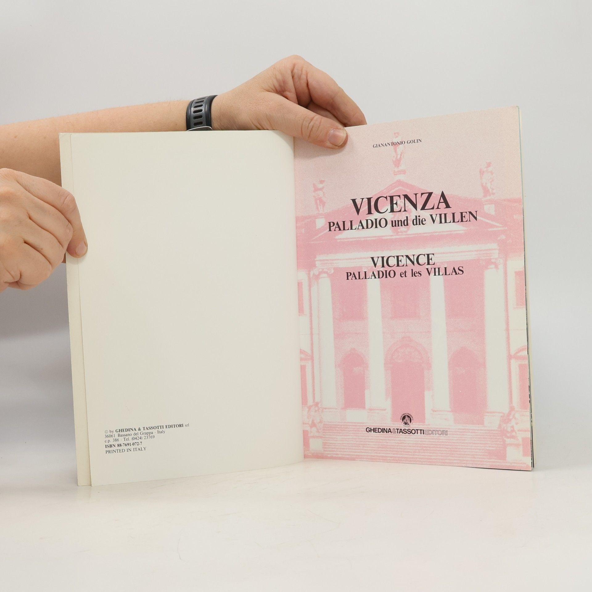 Gianantonio Golin Vicenza : Palladio und die Villen = Vicence : Palladio et les villas