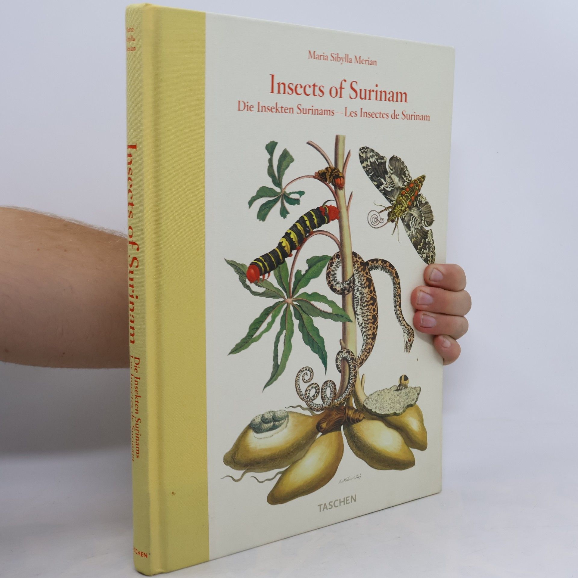Maria Sibylla Merian Insects of Surinam