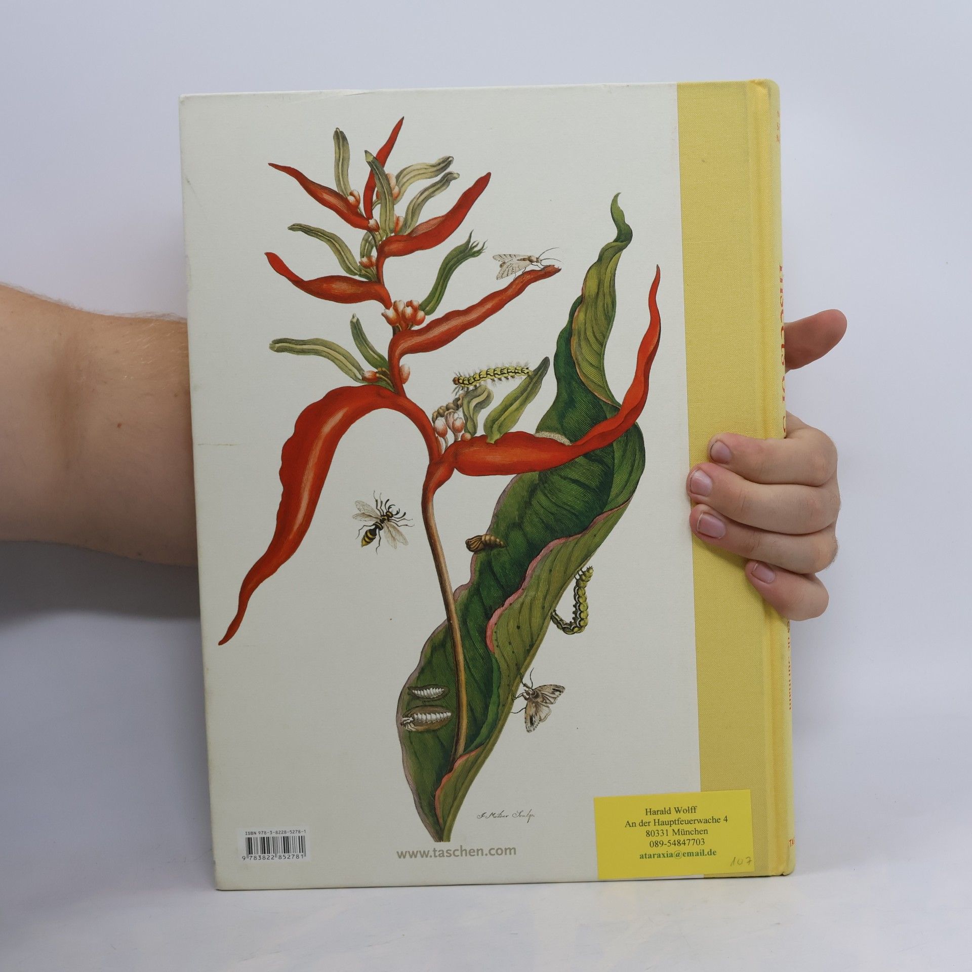 Maria Sibylla Merian Insects of Surinam