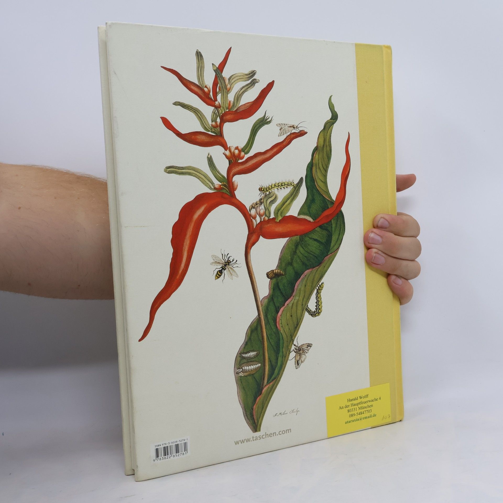 Maria Sibylla Merian Insects of Surinam