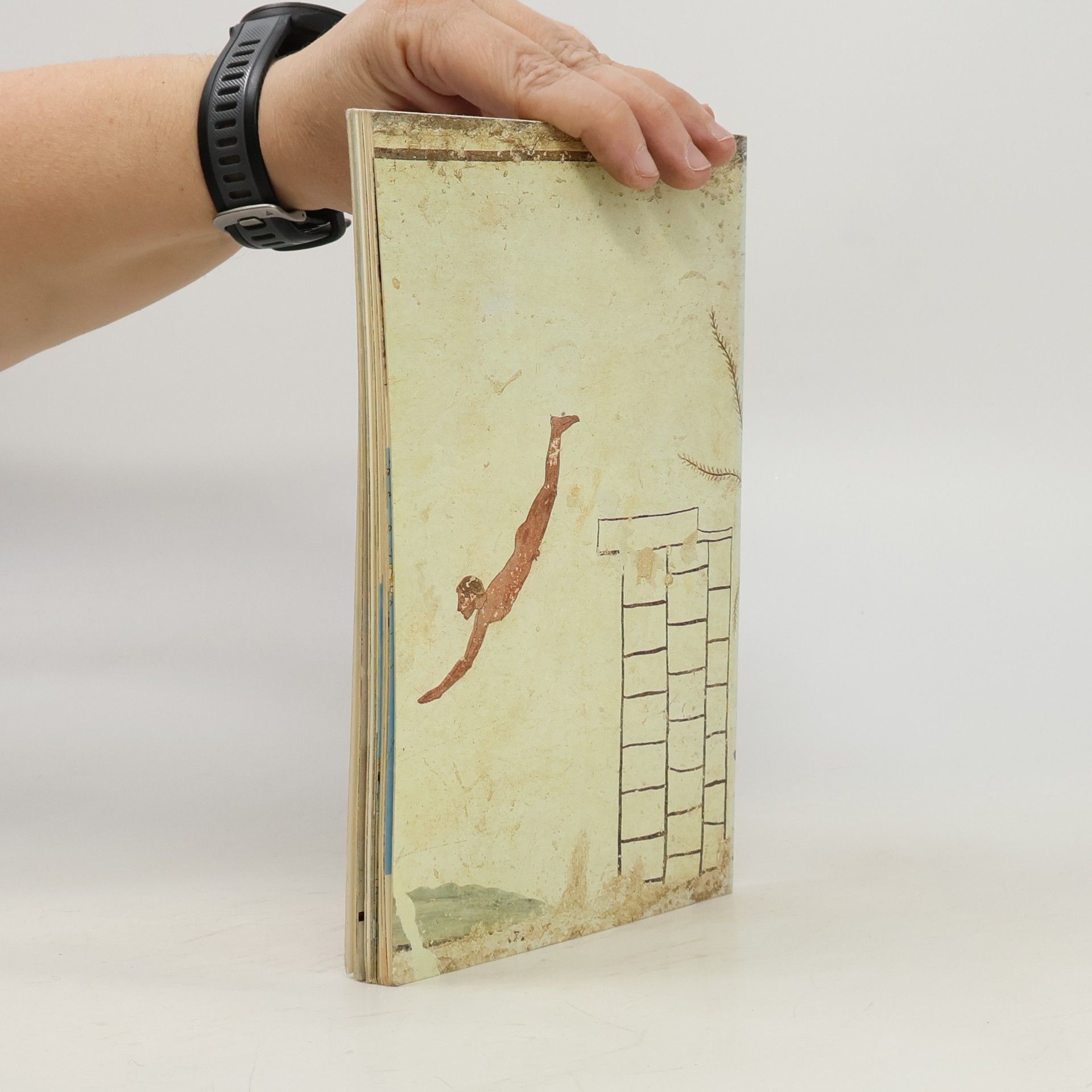 kolektiv Paestum. Guide to the Excavations and Archaeological Museum
