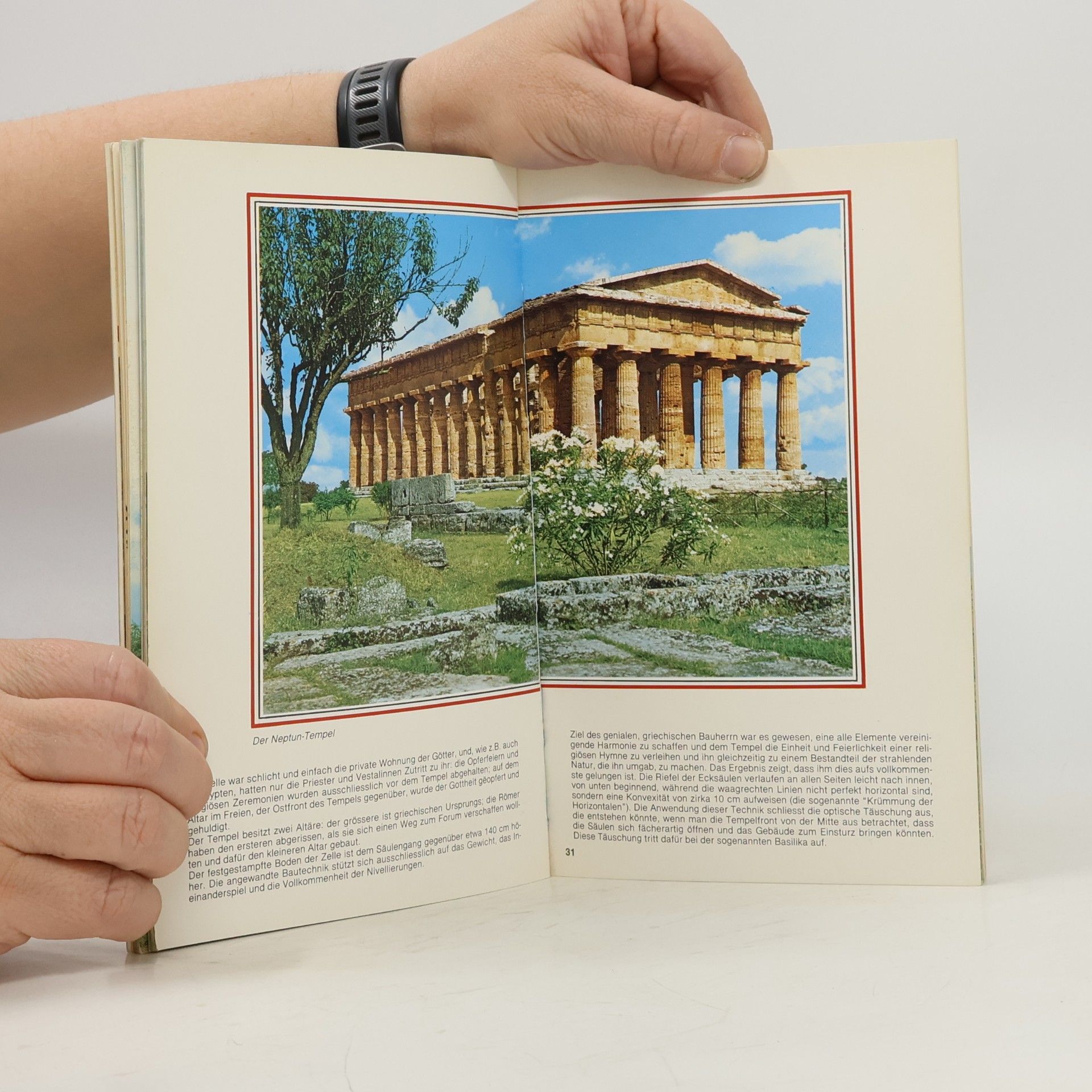 kolektiv Paestum. Guide to the Excavations and Archaeological Museum