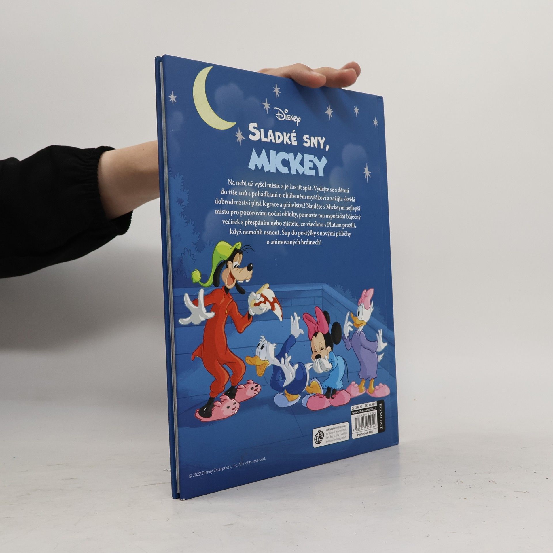 Petra Vichrová Sladké sny, Mickey