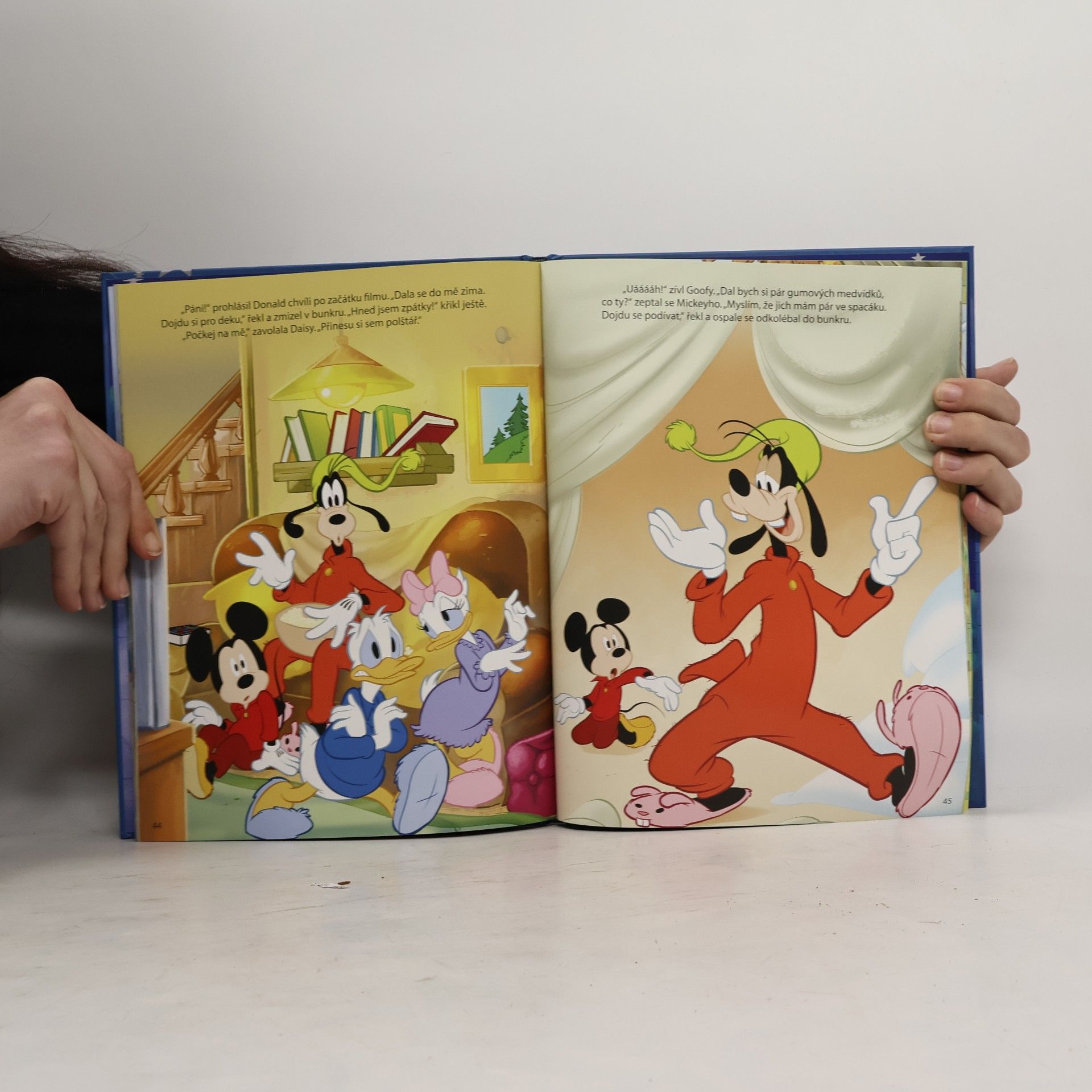 Petra Vichrová Sladké sny, Mickey