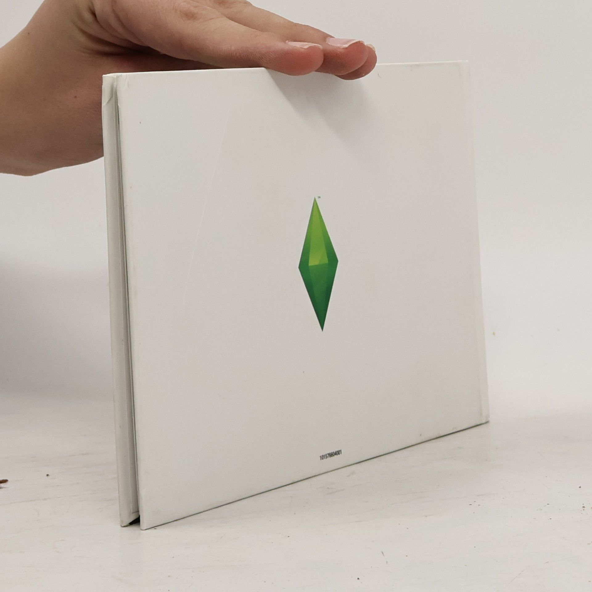 kolektiv The Sims 4. Autorský průvodce