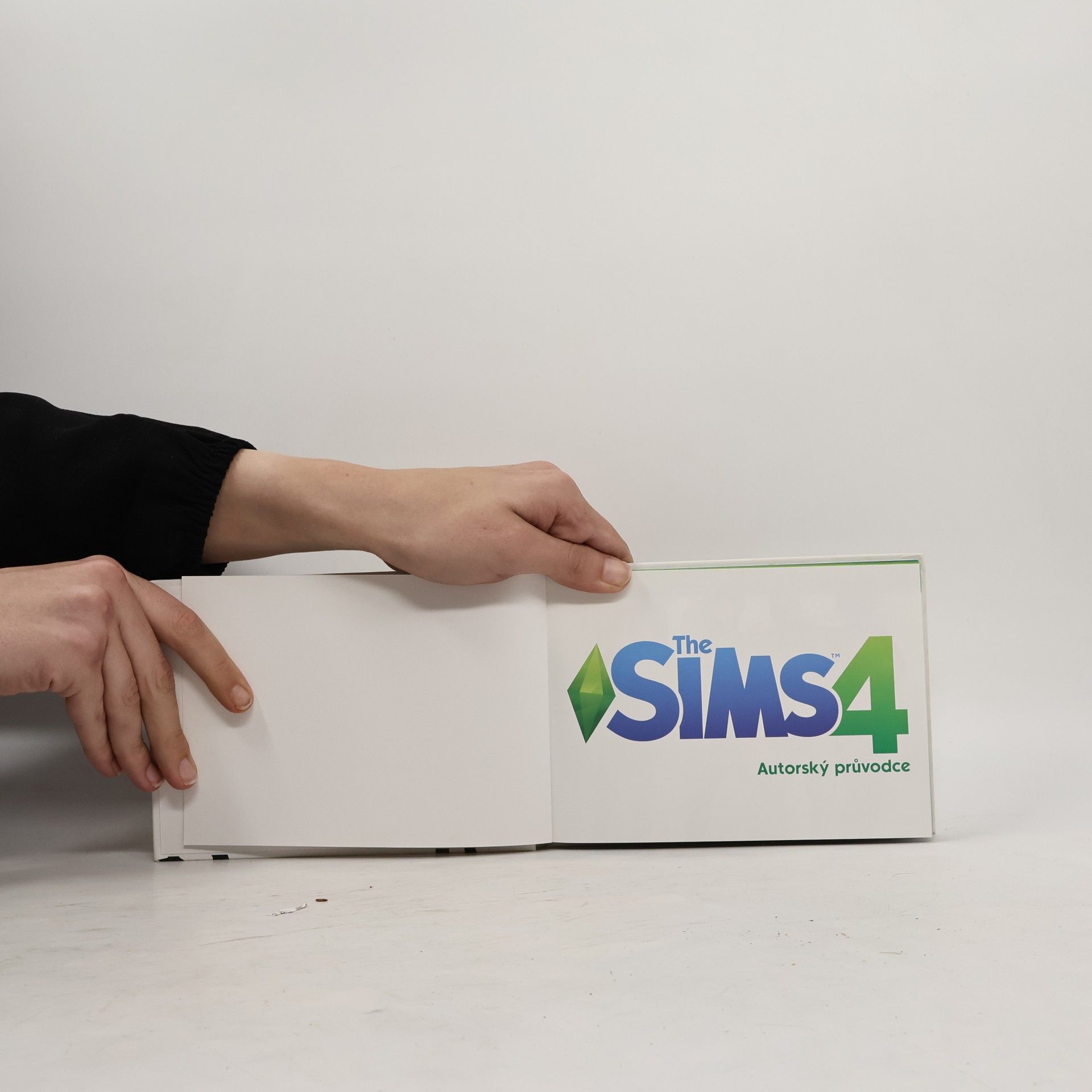 kolektiv The Sims 4. Autorský průvodce