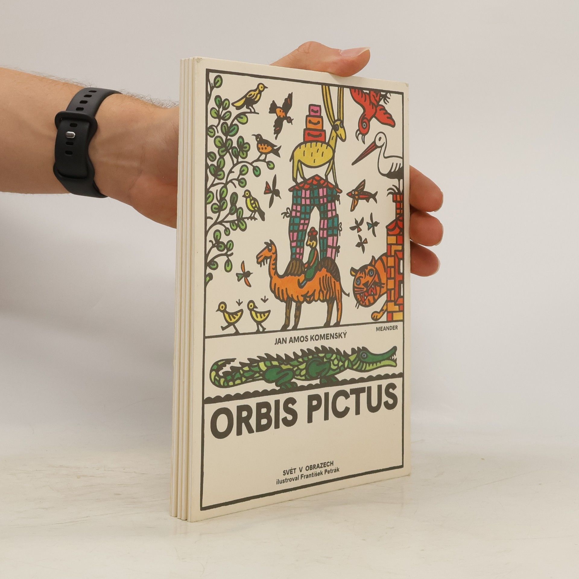 John Amos Comenius Orbis pictus: Svět v obrazech (omalovánky)