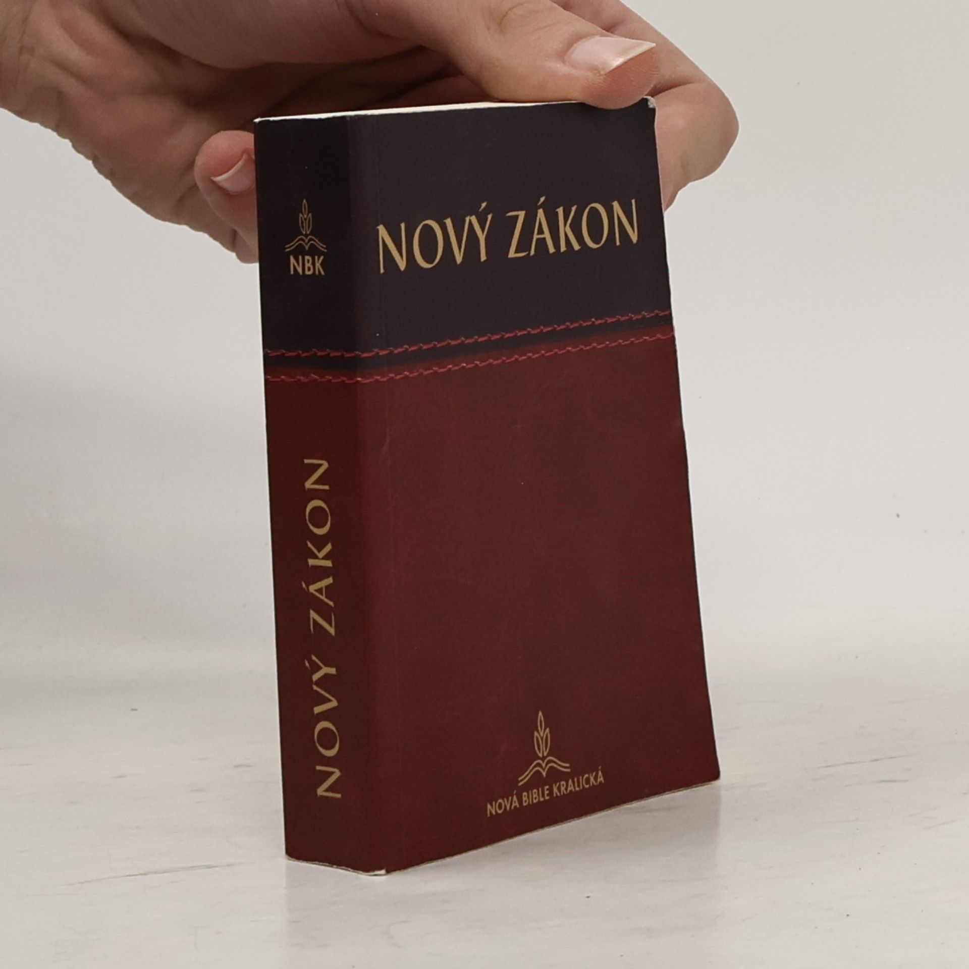 Alexandr Flek Nový zákon. Nová Bible Kralická