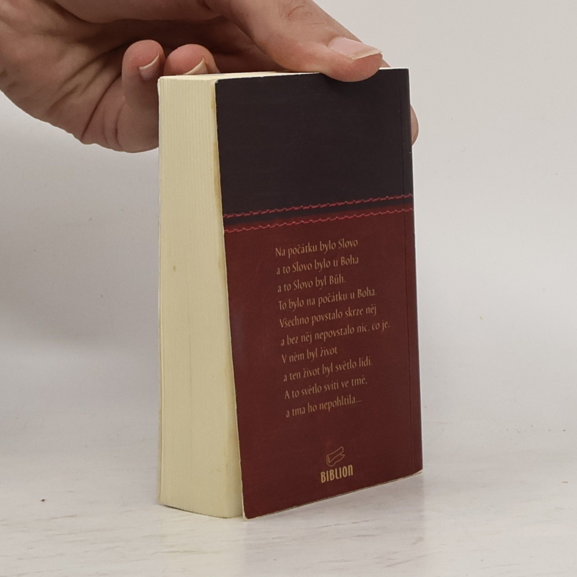 Alexandr Flek Nový zákon. Nová Bible Kralická