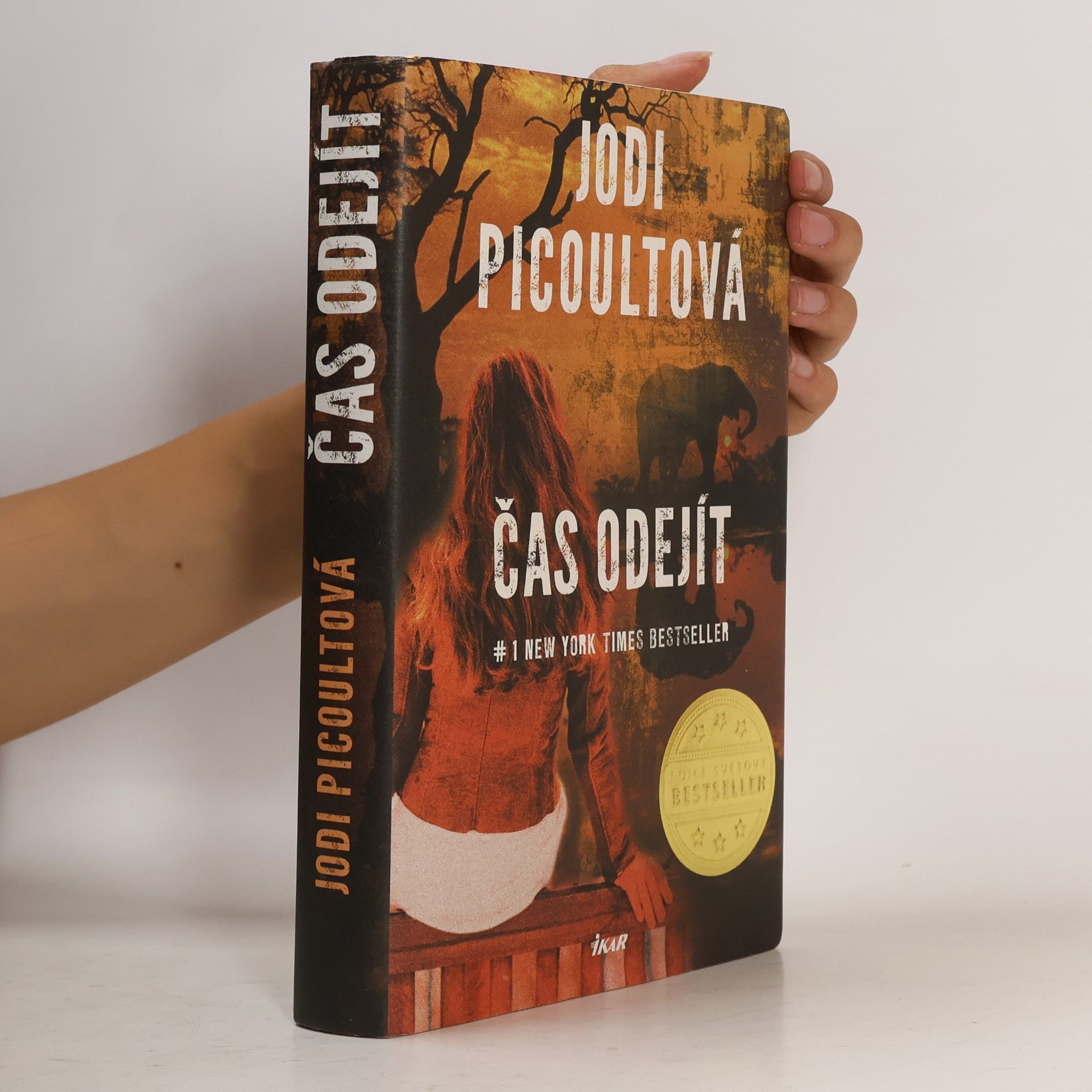Jodi Picoult Čas odejít