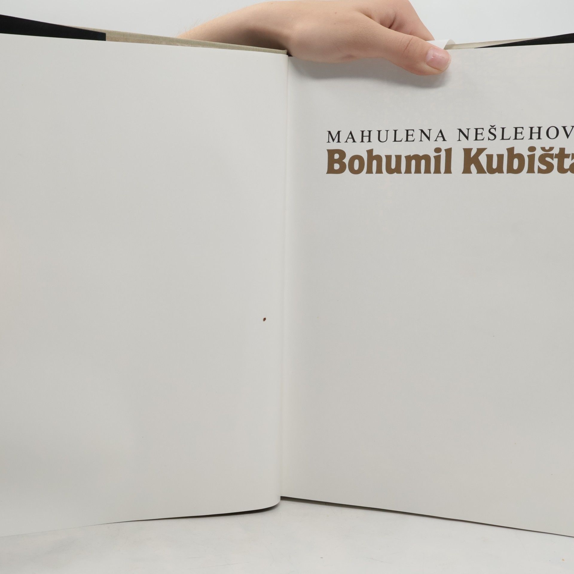 Mahulena Nešlehová Bohumil Kubišta