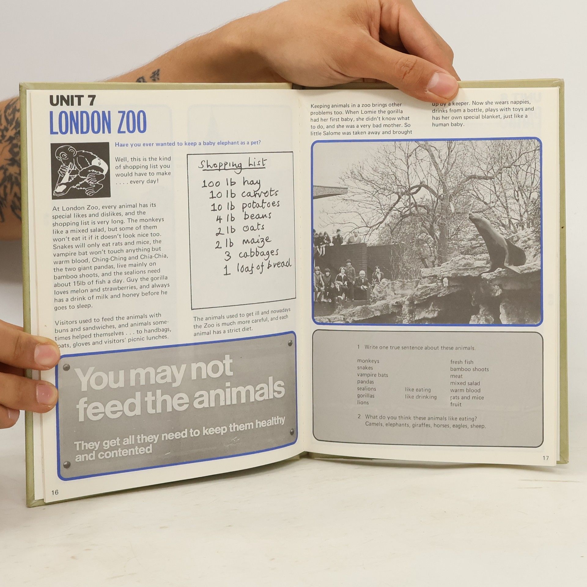 Anne Fraenkel In London