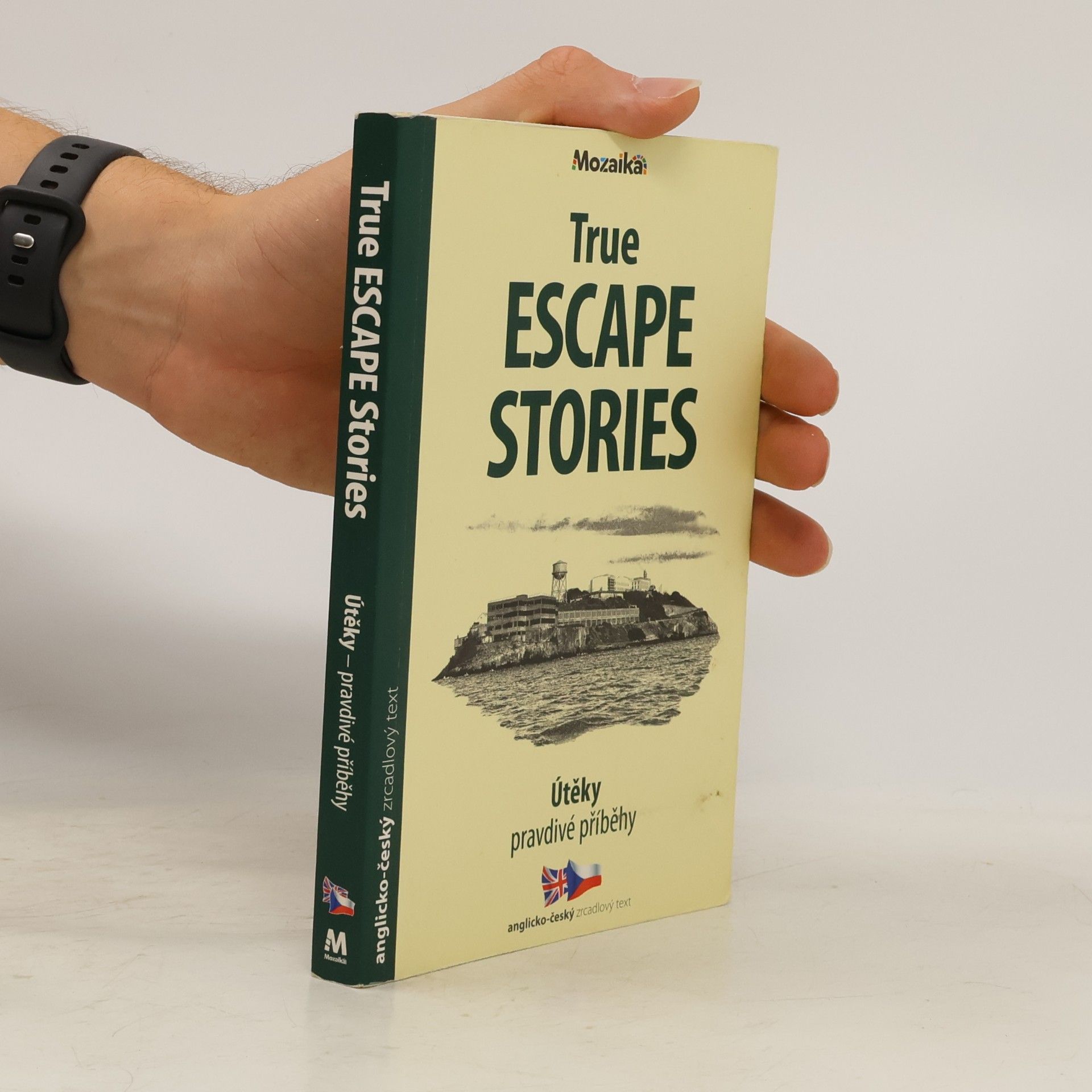 Paul Dowswell Útěky: Pravdivé příběhy / True Escape Stories