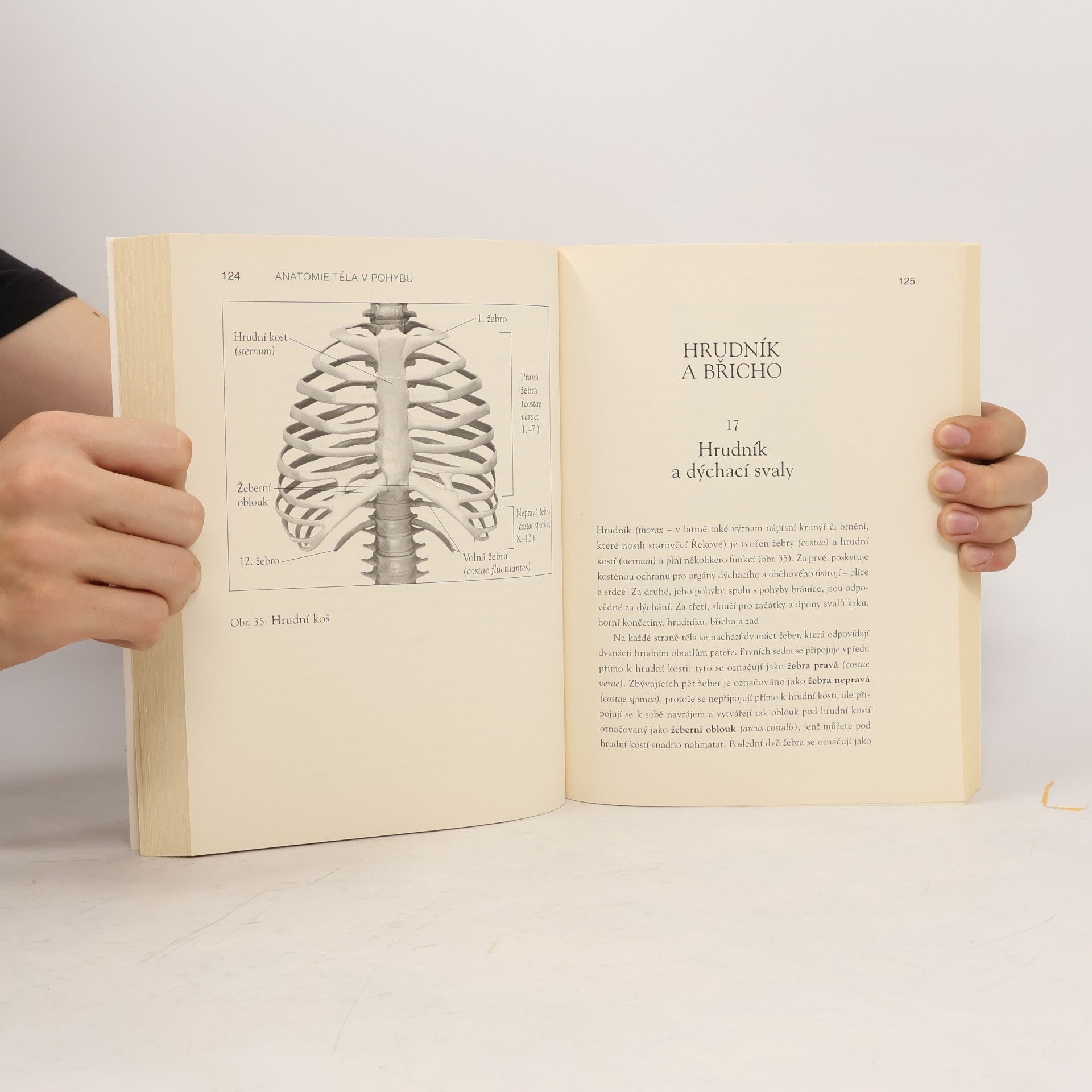 Theodore Dimon Anatomie těla v pohybu