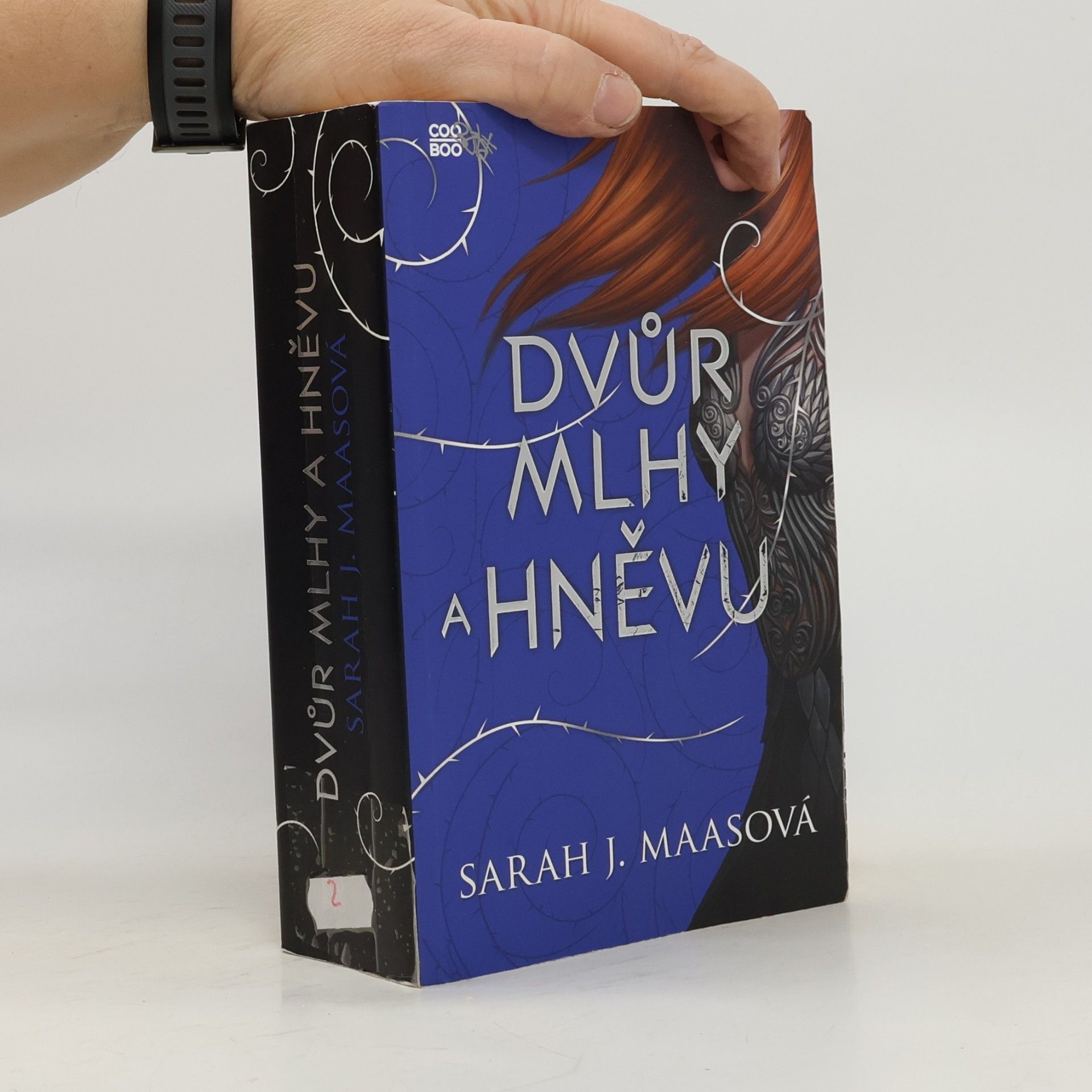 Sarah J. Maas Dvůr mlhy a hněvu