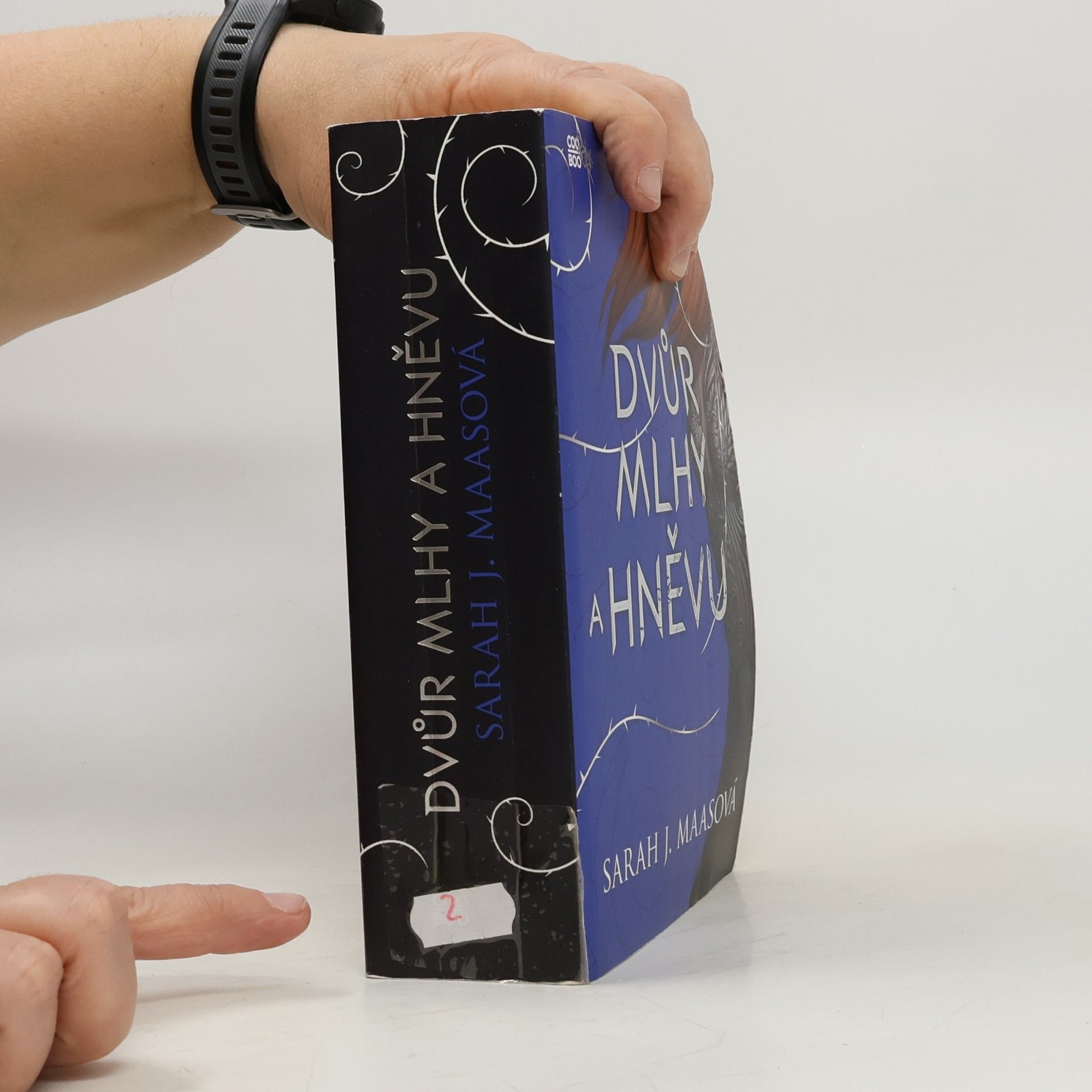 Sarah J. Maas Dvůr mlhy a hněvu